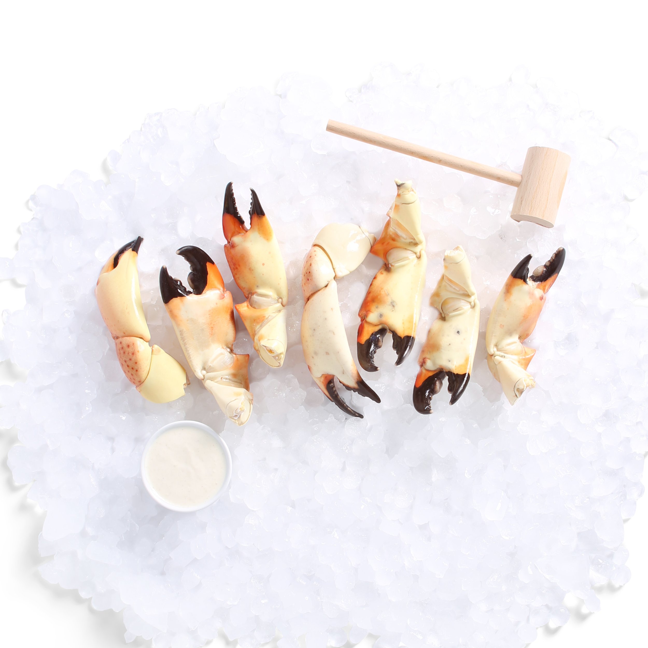 StoneCrabs.jpg