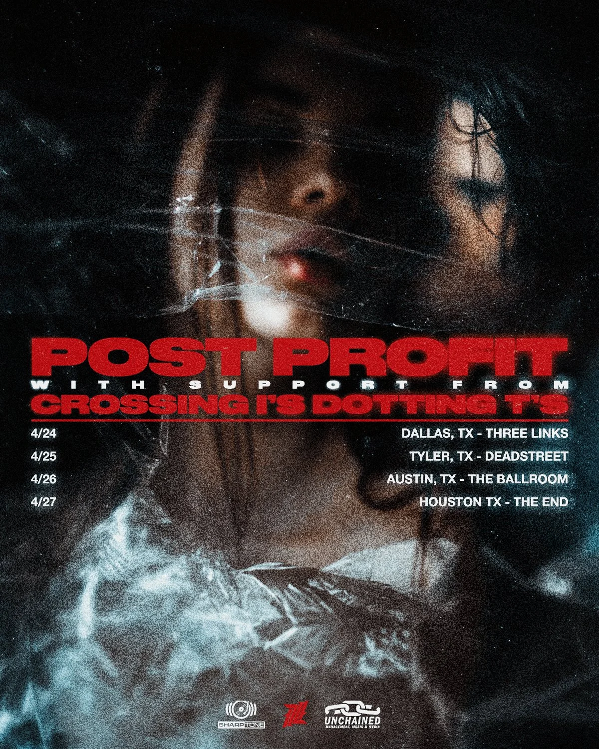 ppcidt-vertical.jpg