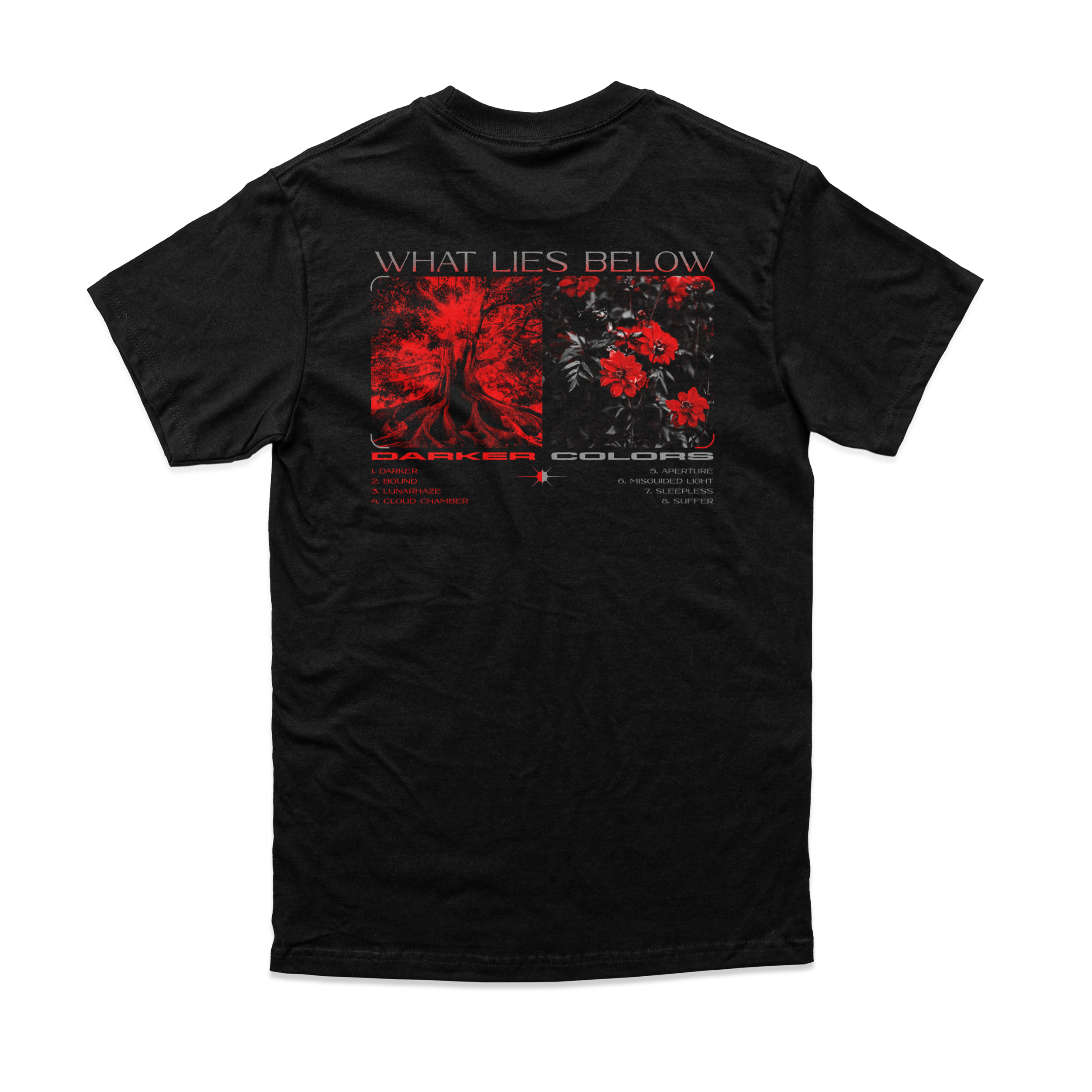 DC-DELUXE Shirt Back.png