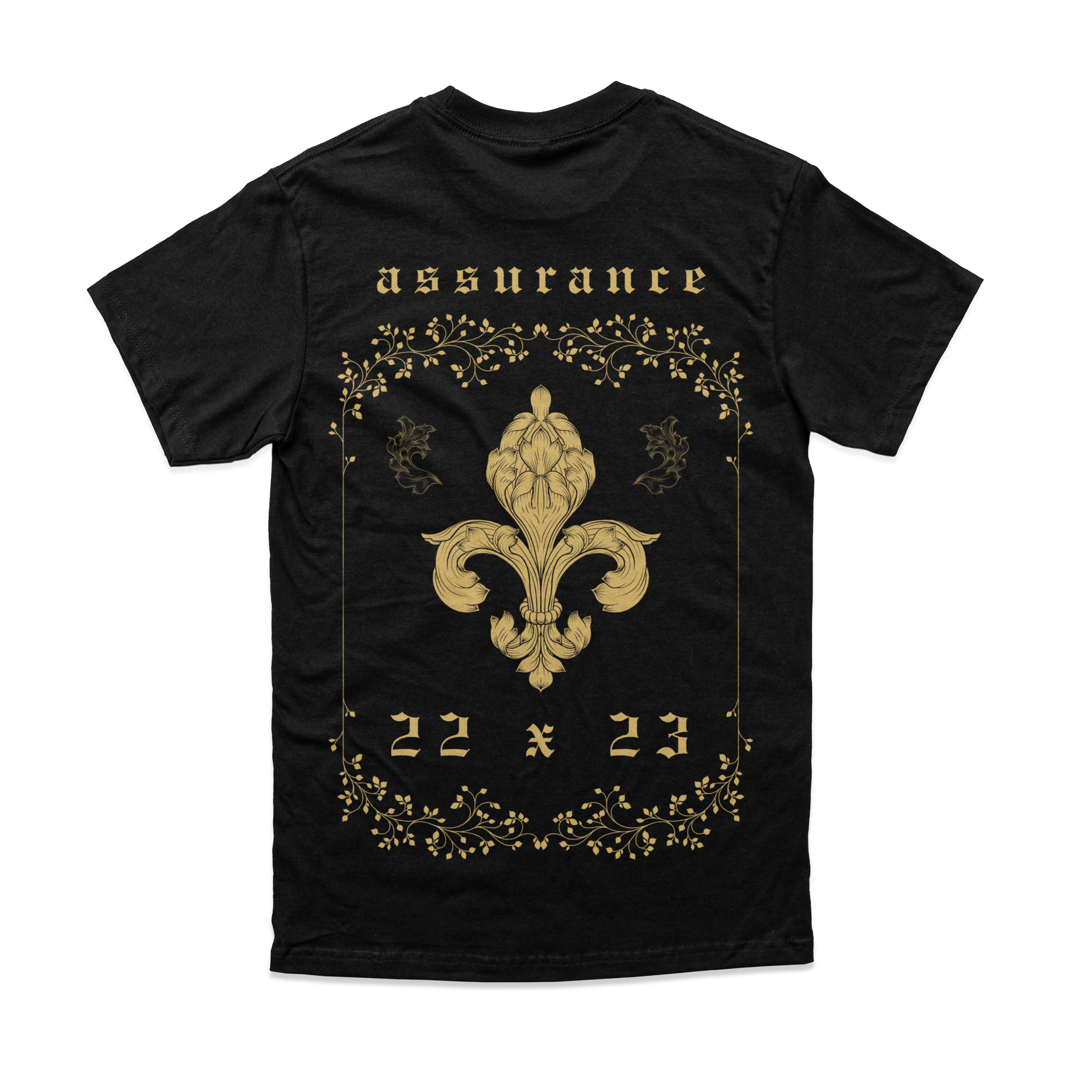 A-ShirtBack.png