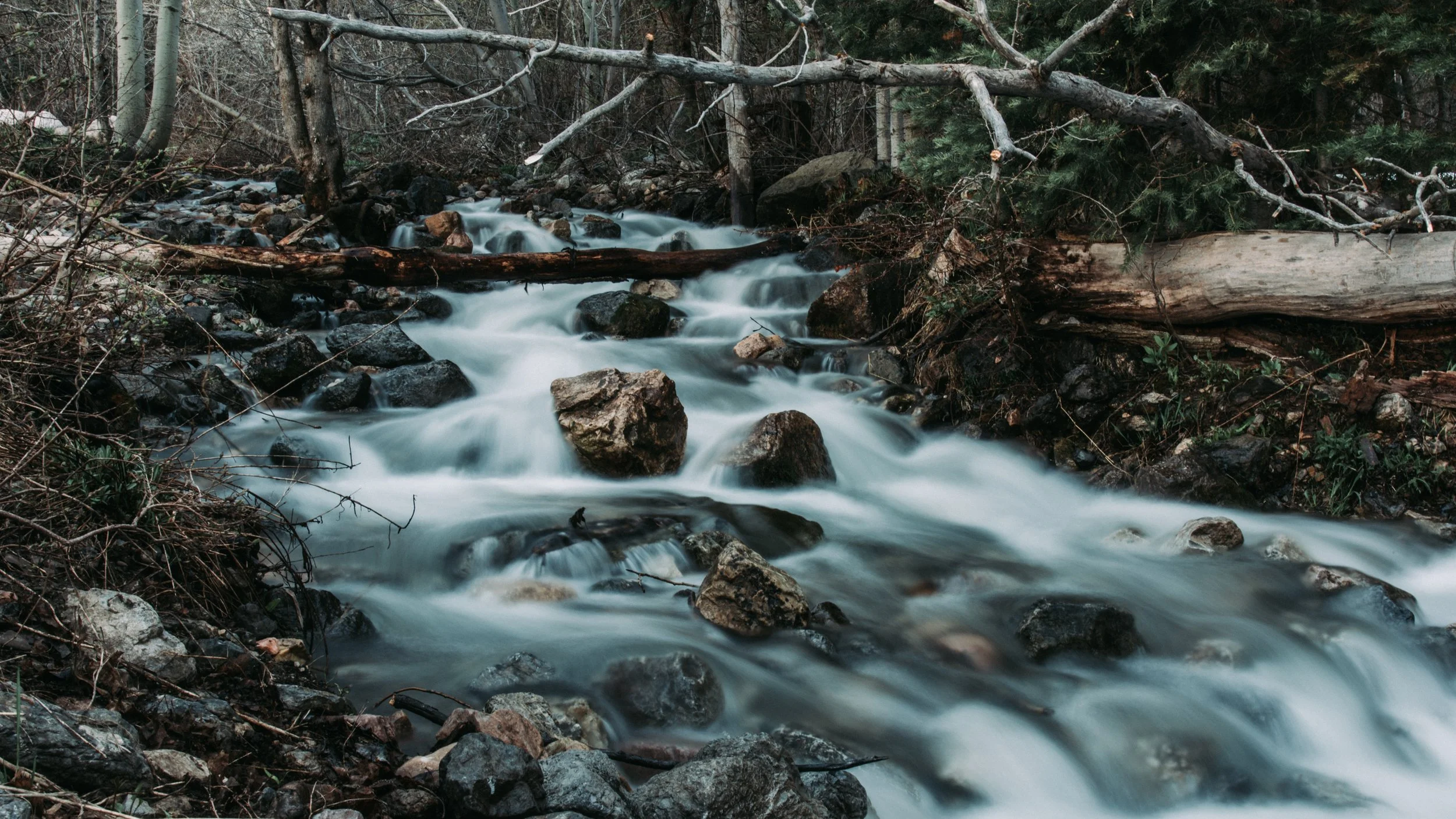 A long-exposure mountain stream rushes over dark rocks and boulders in a winter forest, fallen logs crossing above the silky white water.