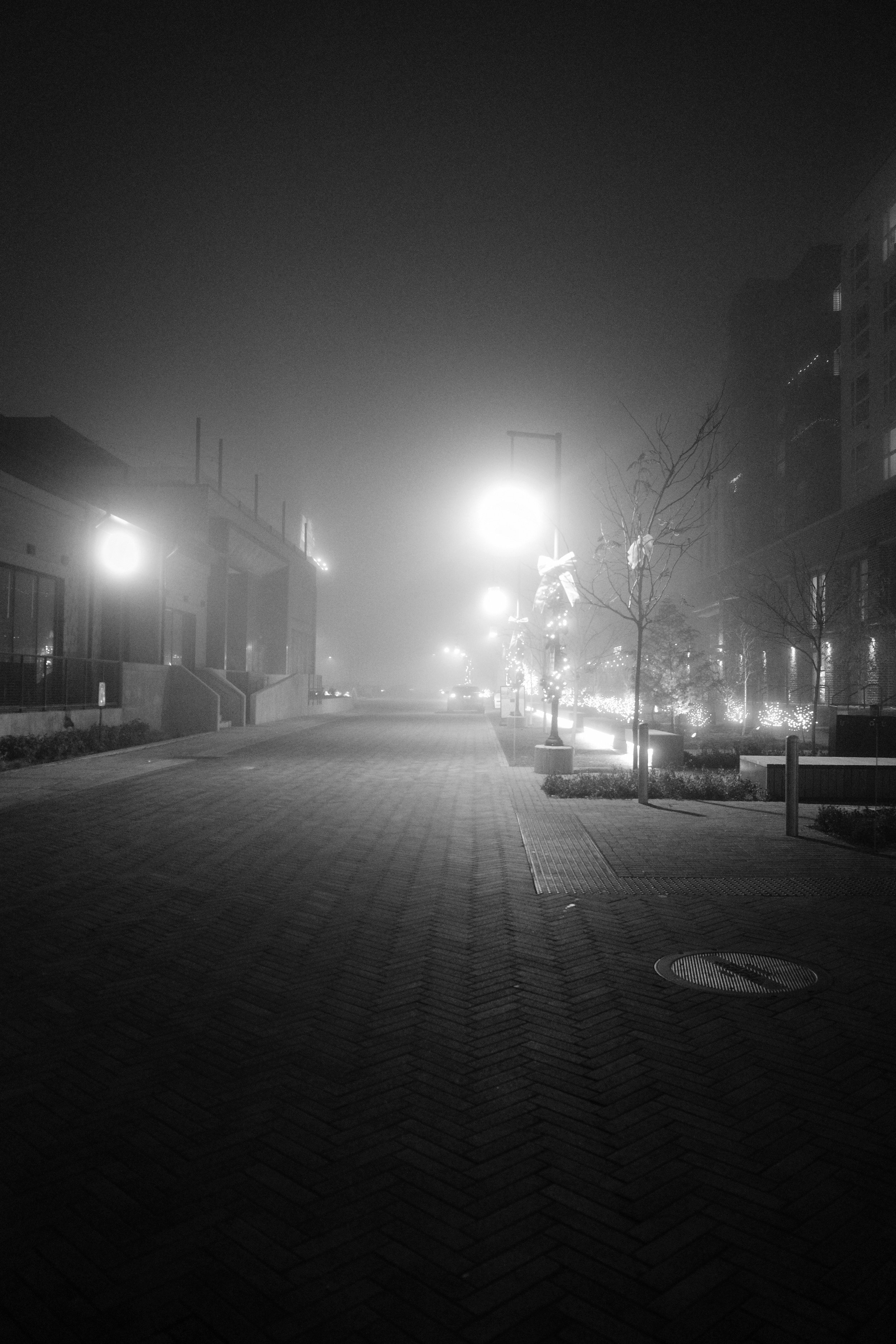 An empty brick-paved street dissolves into fog, streetlamps burning soft halos of light. Holiday lights glow faintly in the mist. No one is there.