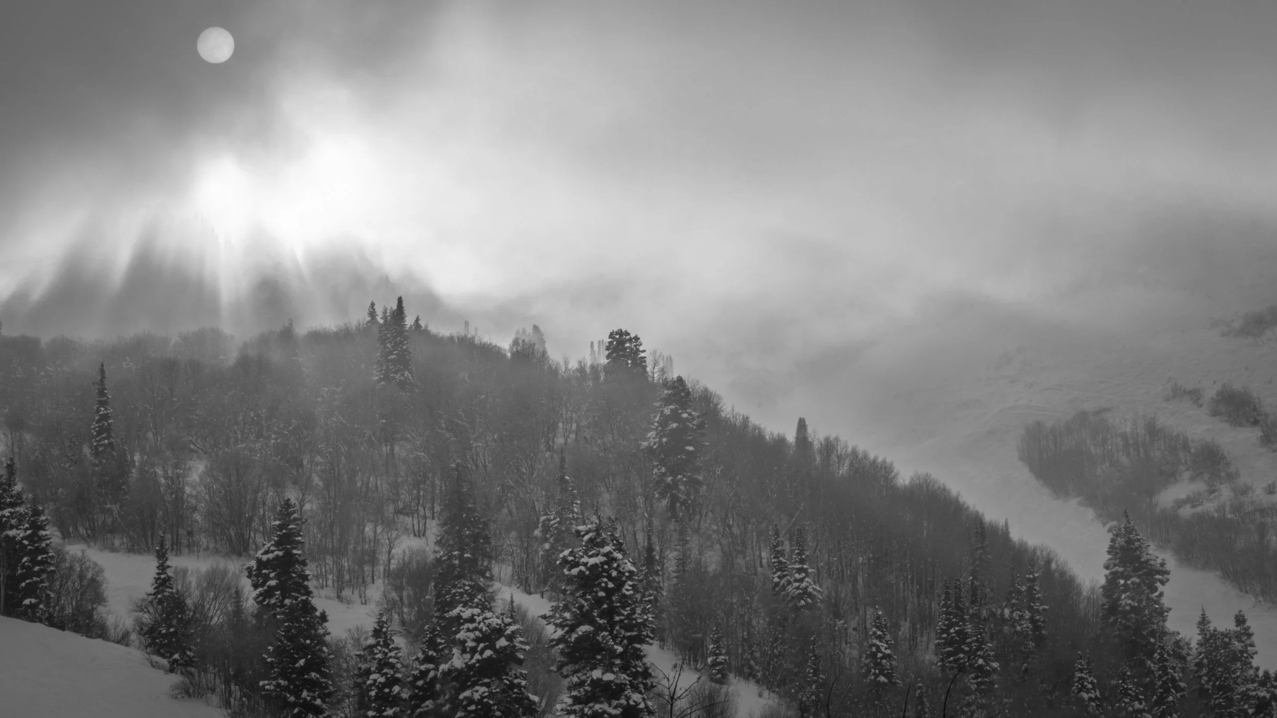 Black and white photograph of a snow-covered hillside of evergreens beneath a stormy sky, a bright sun cutting through swirling fog and storm clouds.