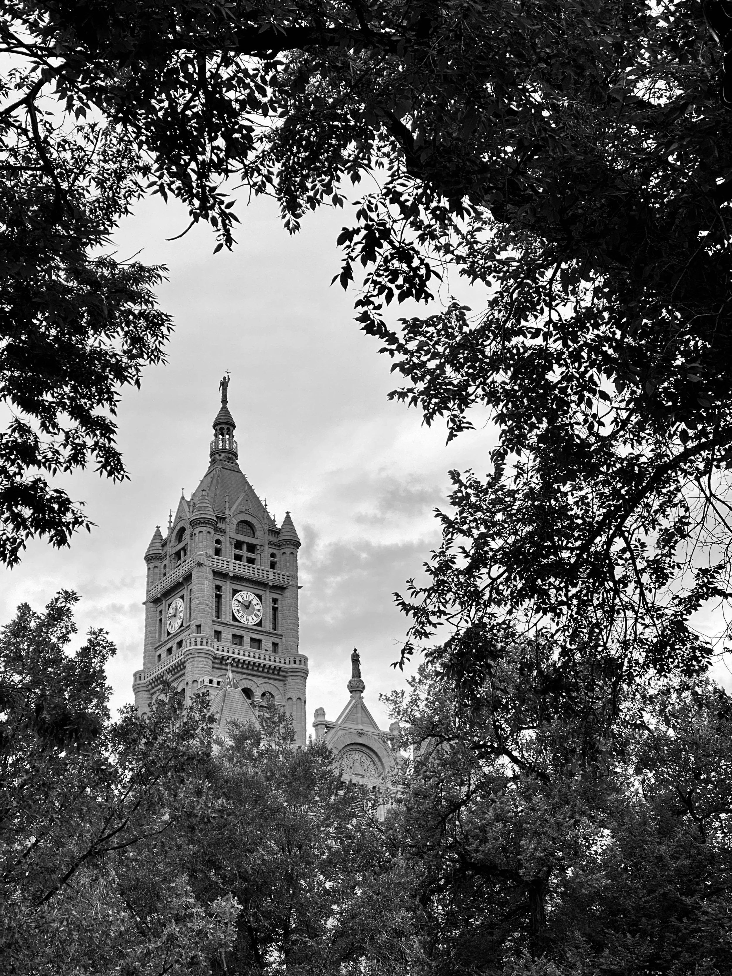 The ornate clock tower of Salt Lake City Hall rises above a canopy of dense summer trees, glimpsed through branches under an overcast sky. The stonework detail is lost and found in the leaves.
