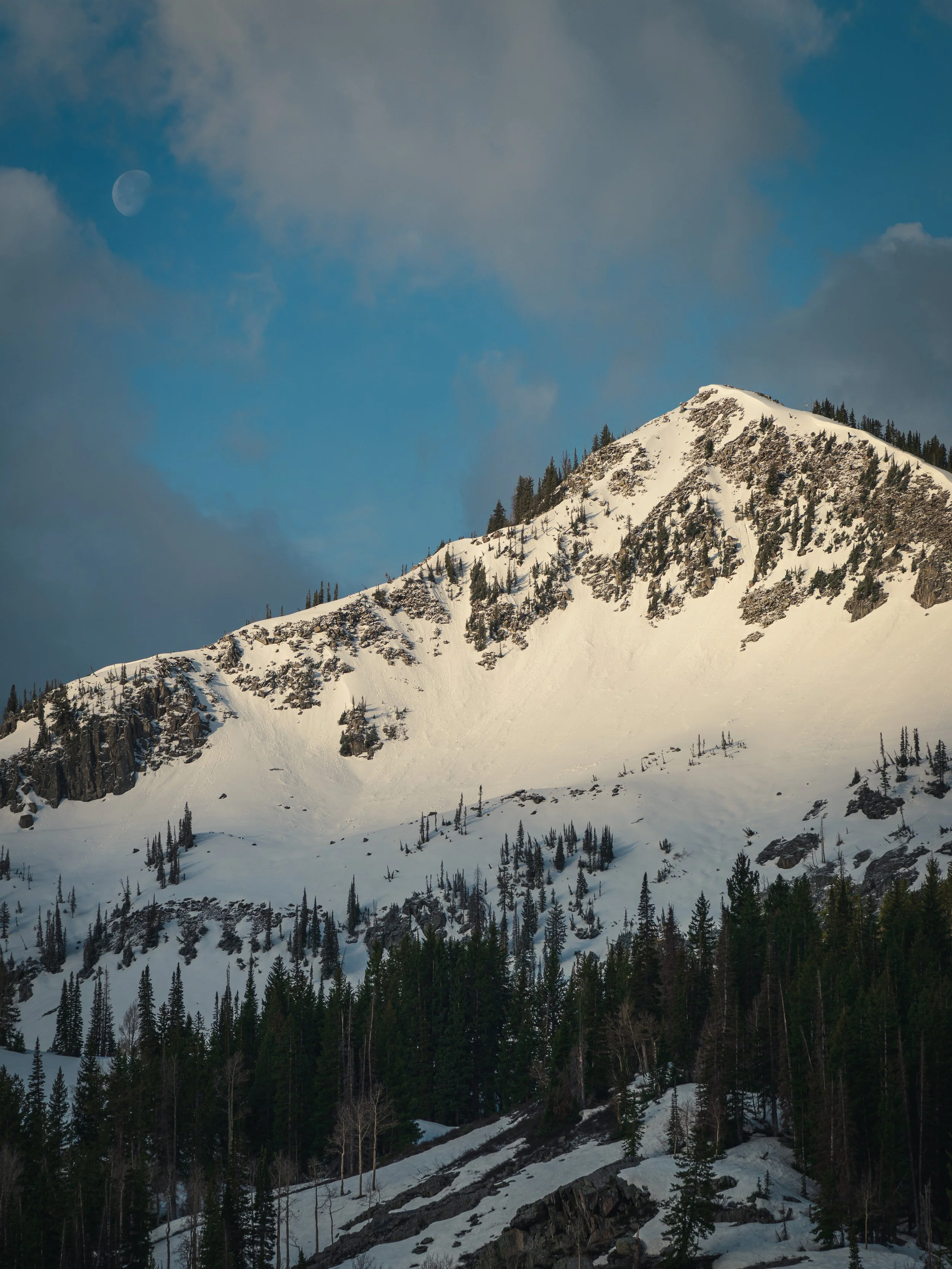 A snow-covered mountain peak rises above a forested slope under a blue sky with scattered clouds, a half moon visible in the upper left corner.