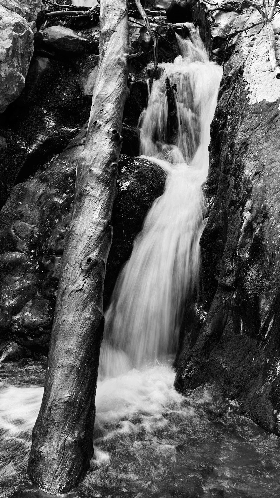Black and white long-exposure waterfall cascading alongside a weathered diagonal log, white water rushing between dark wet rocks in a narrow canyon.