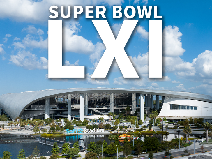 Super Bowl VIP Experience in Los Angeles