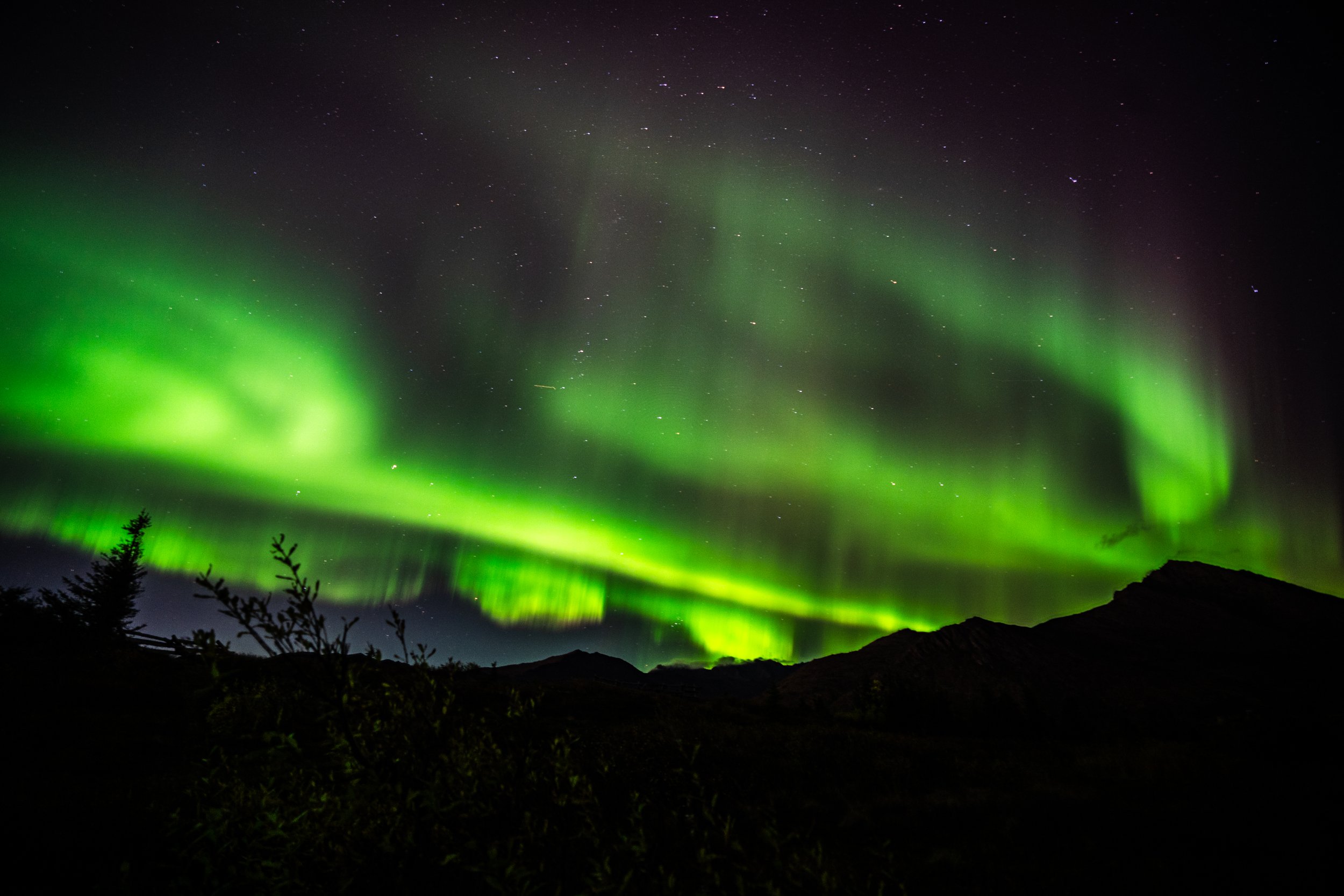 Northern lights or aurora borealis illuminating the night sky with green hues over a mountain landscape and trees.
