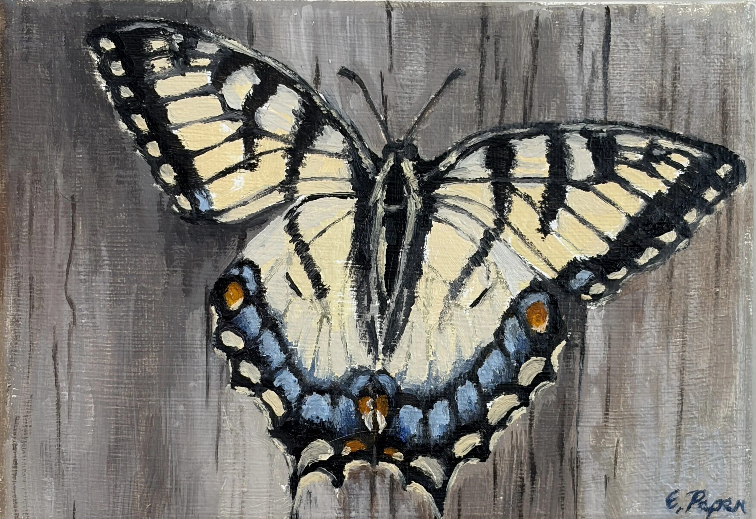 IMG_1825 butterfly.JPG