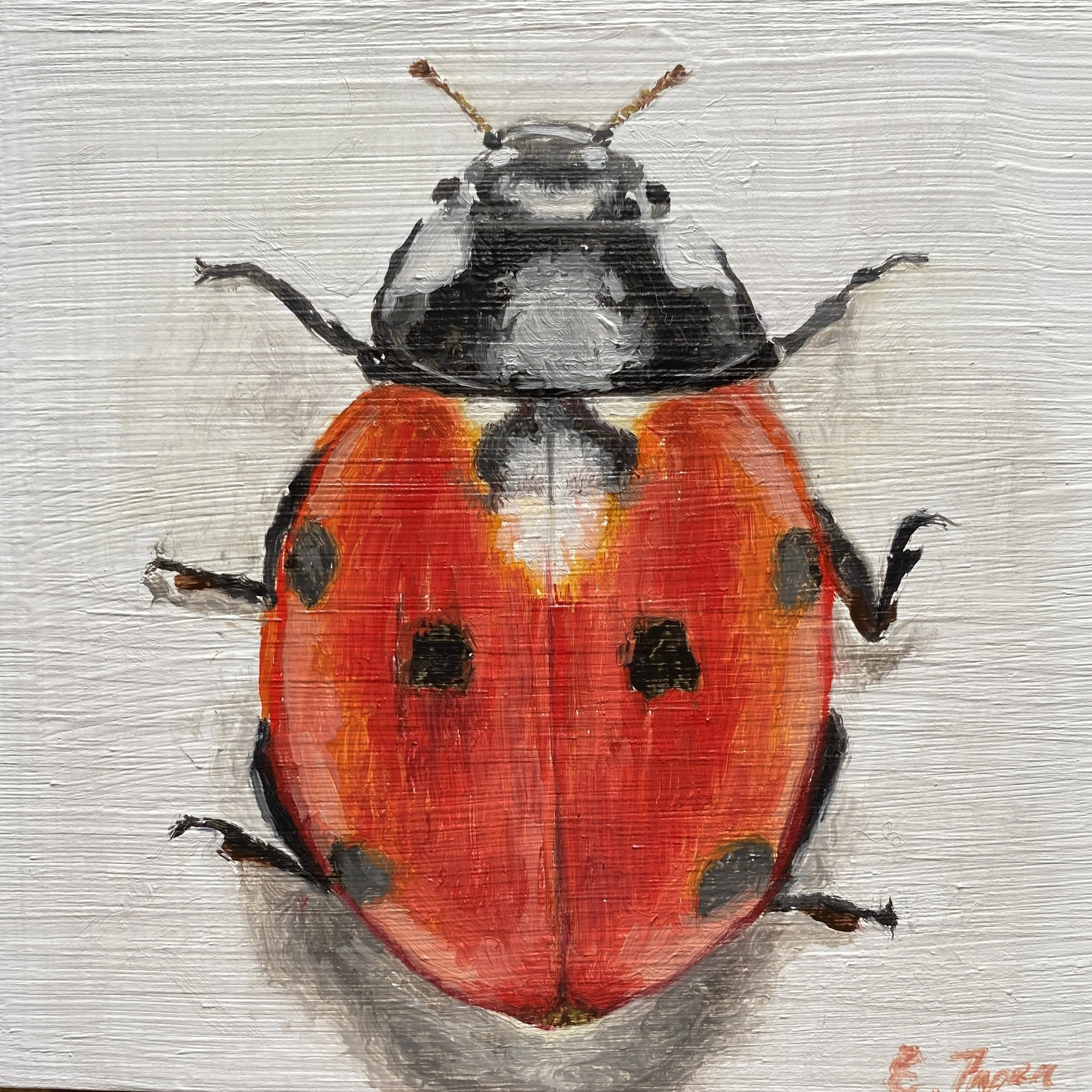 A detailed painting of a ladybug wearing a red jacket. The ladybug's head is black and gray with yellow antennae, and it has red wings with black spots. It is painted on a textured white surface.