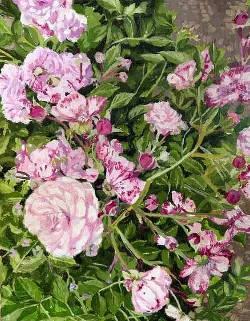 Pink and white flowers with green leaves across the image.