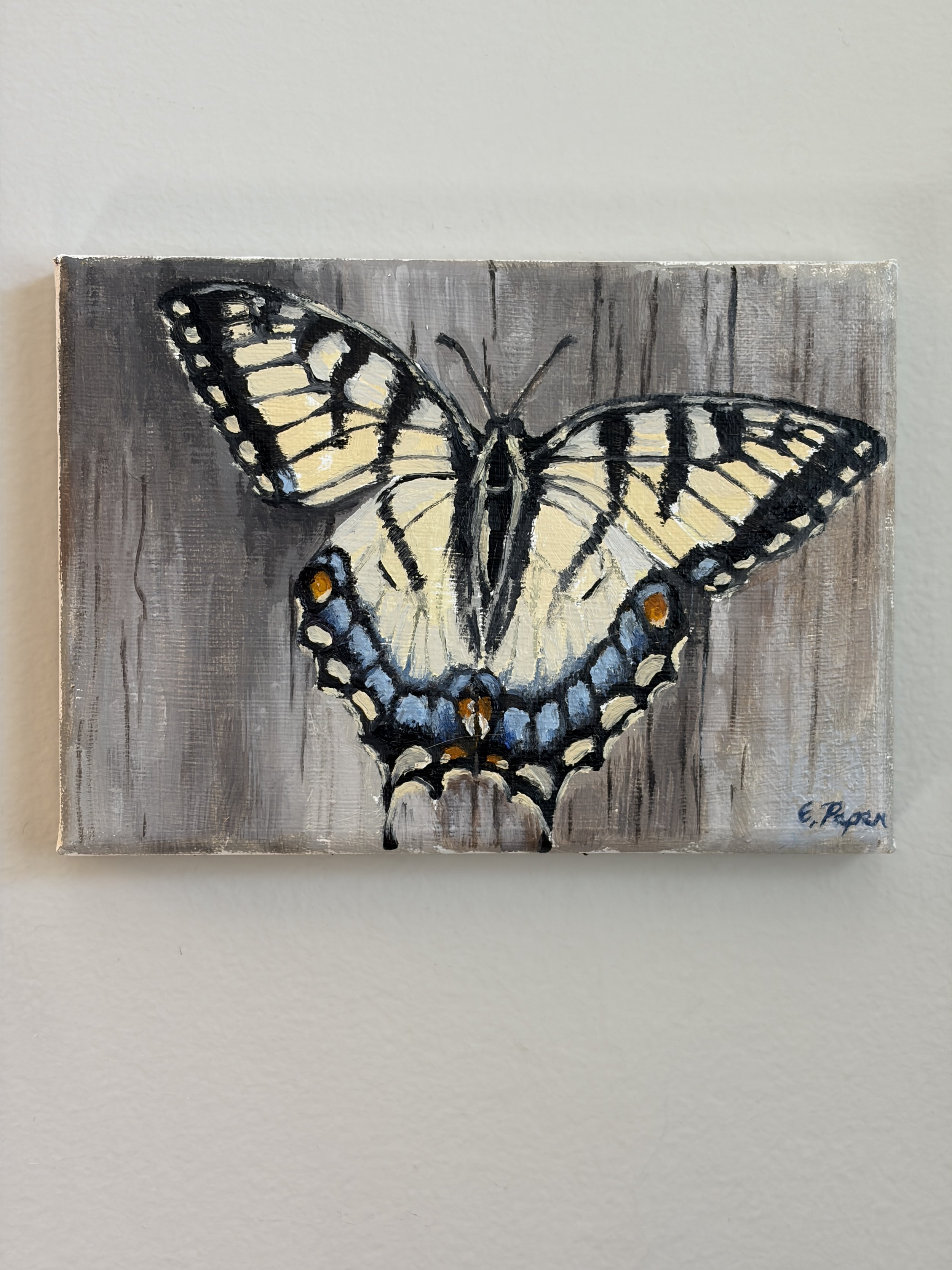 Golden Butterfly