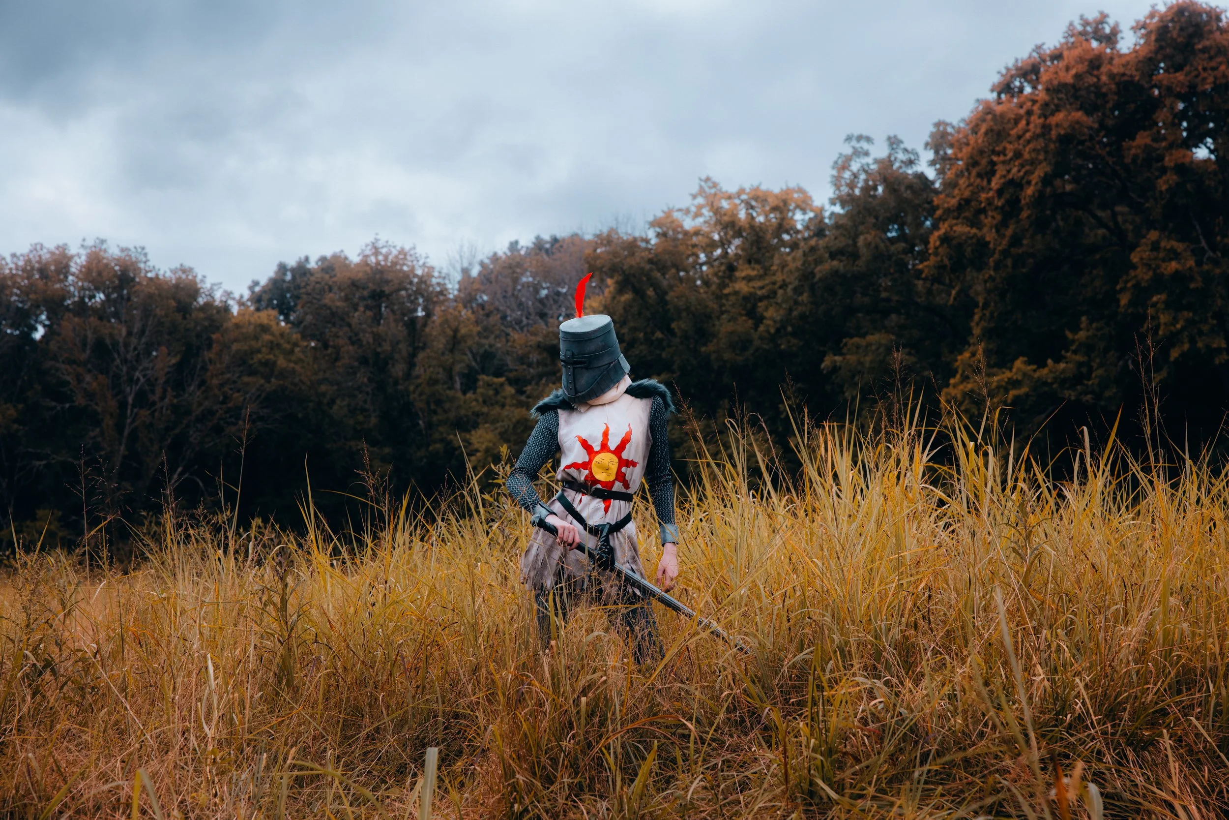 A person dressed as a medieval knight, wearing a helmet with a red plume and armor with a sun emblem, stands in a field of tall grasses with a background of trees and a cloudy sky.