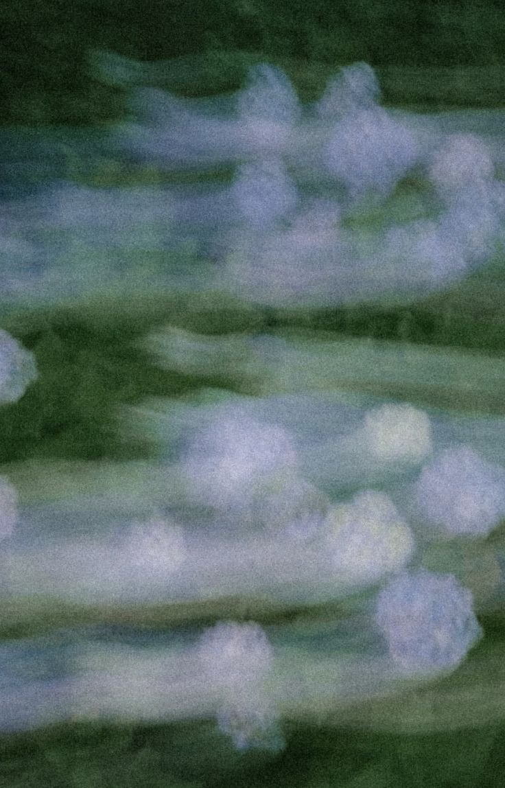 Close-up of white snowballs on a green surface, possibly a Christmas tree branch.