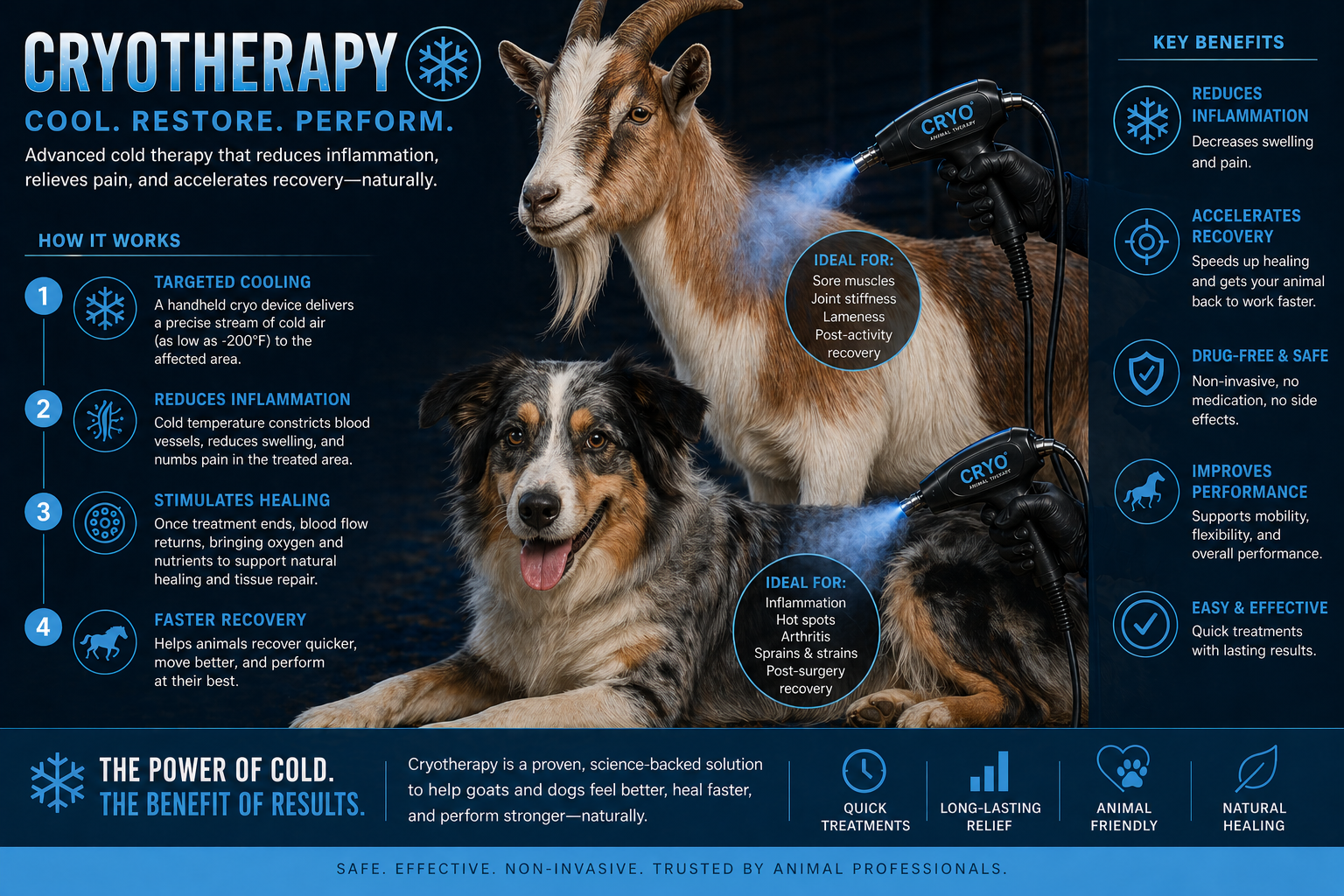 Small Animal Cryotherapy