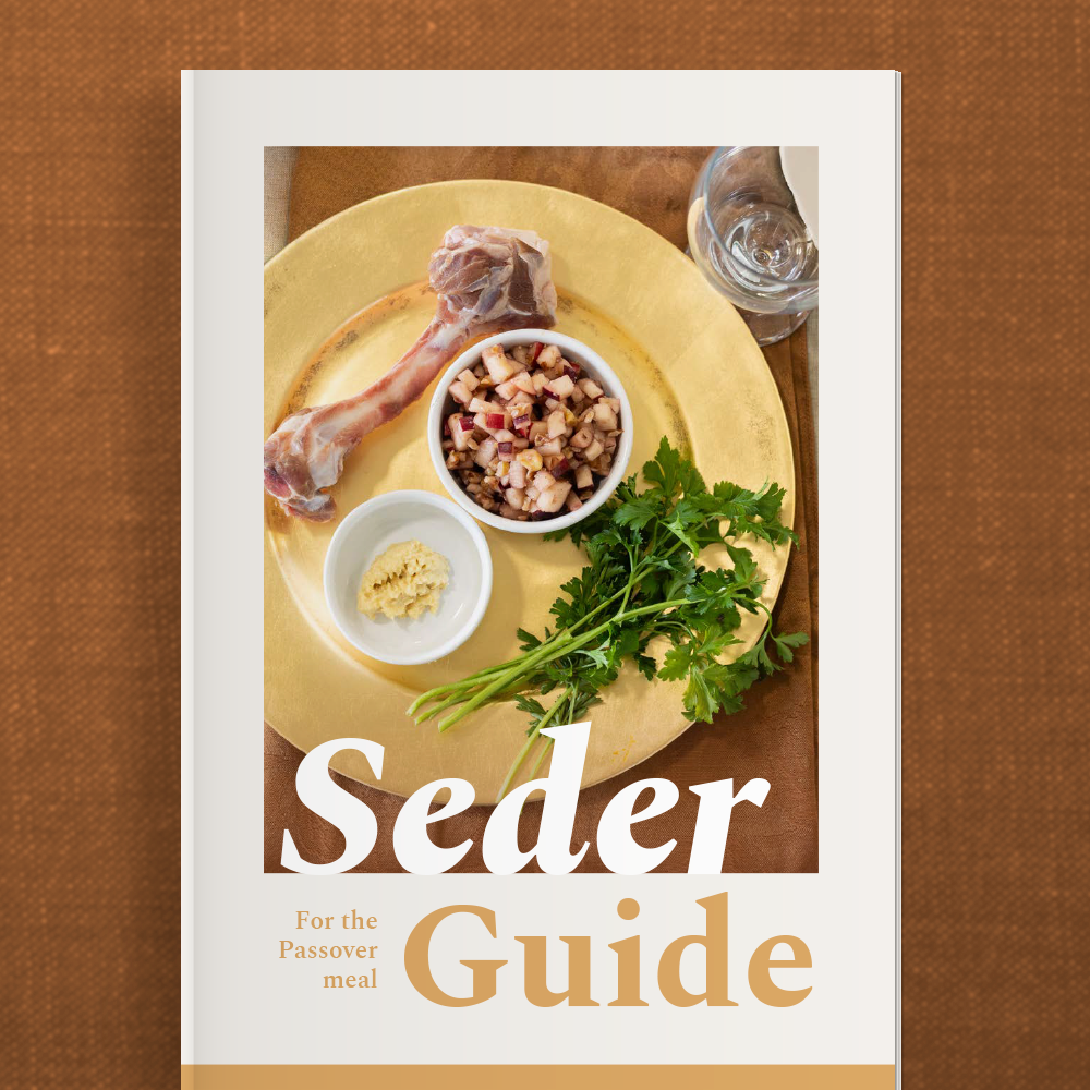 Seder Guide Book