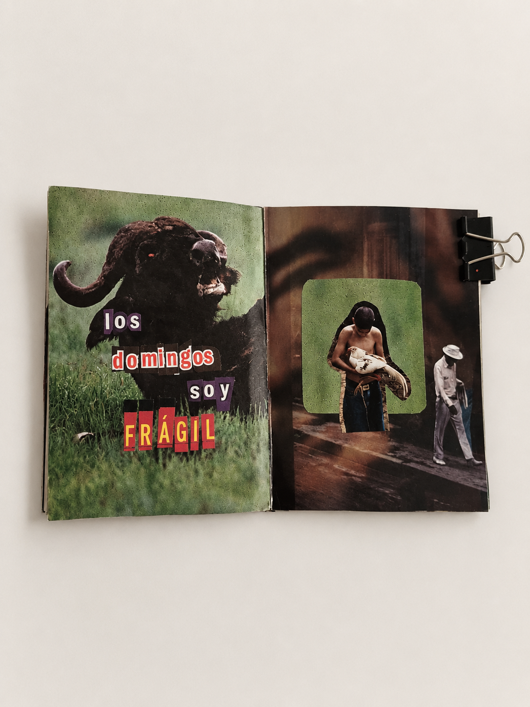 Open collage-style magazine with a photo of a roaring buffalo and text on the left page that reads 'los domingos soy FRÁGIL' and images of children and an older man on the right page.