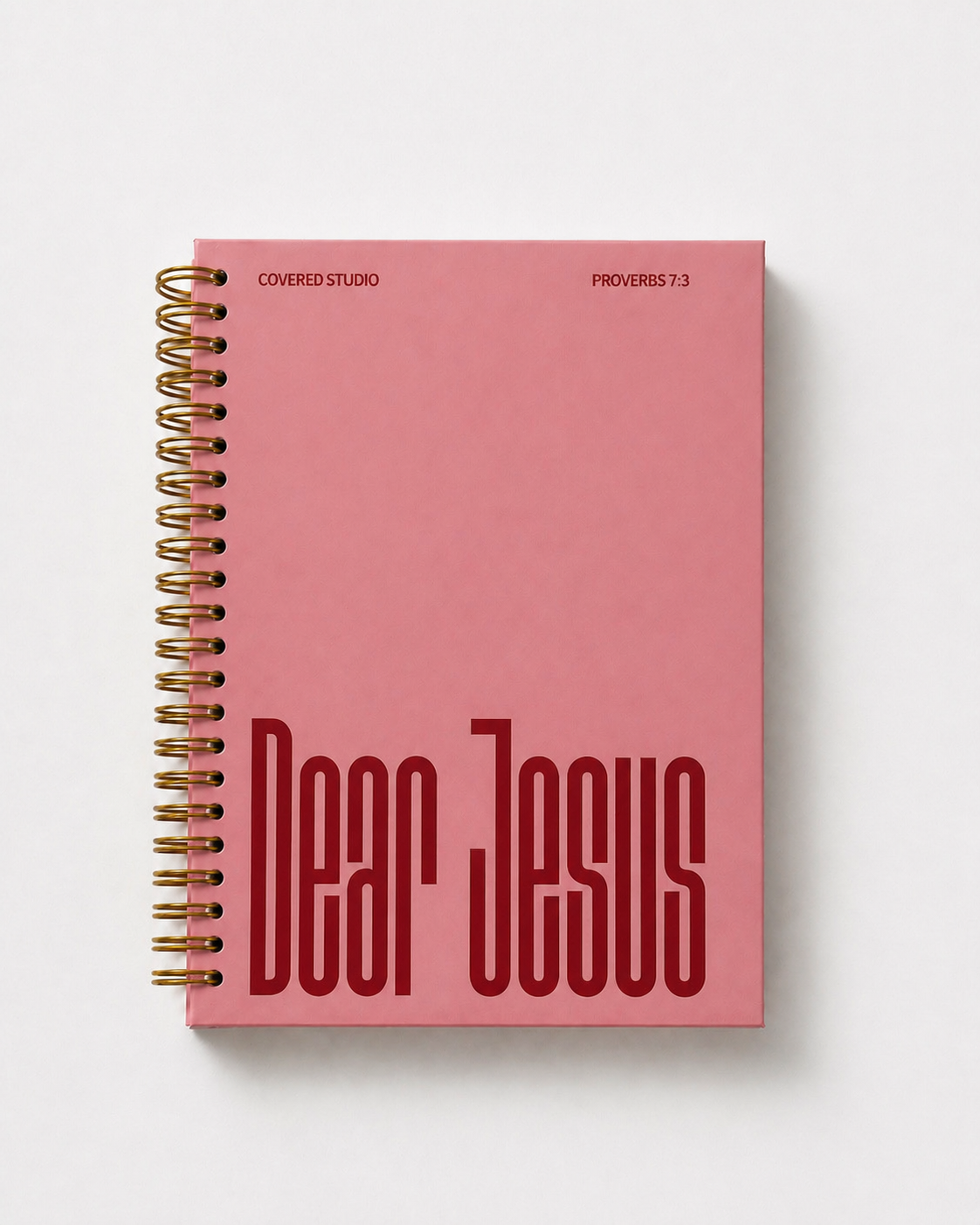 Dear Jesus Journal (Pink)