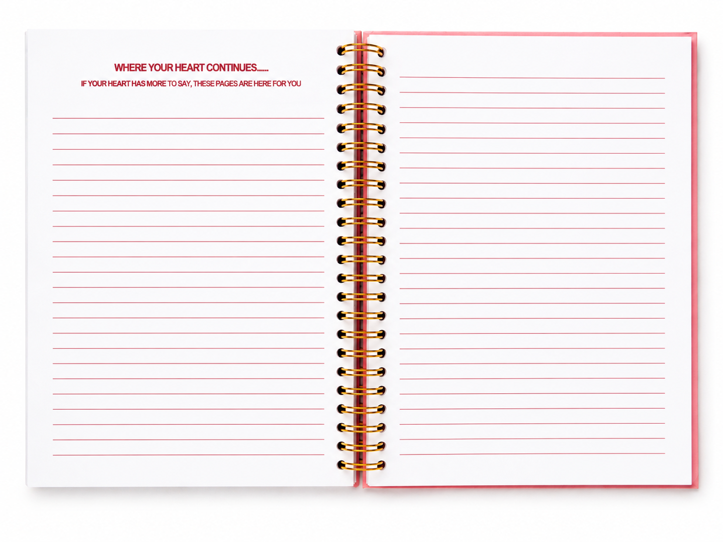 3F51E486-C4C7-4464-9642-A38BD041BF09 2.PNG