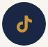 TikTok logo with a dark background