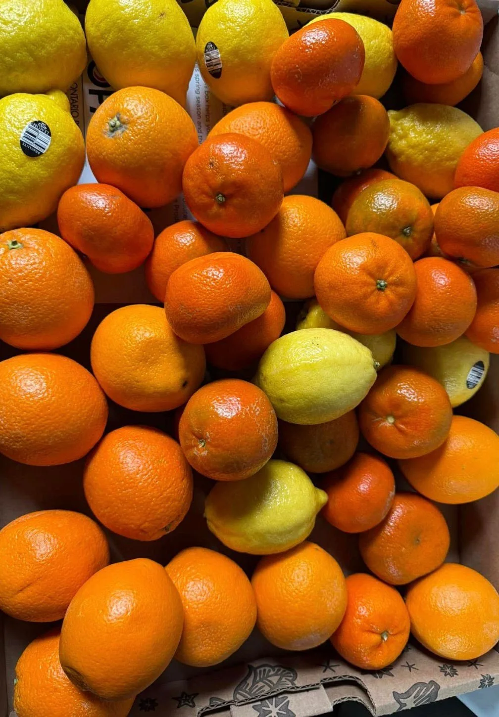 Fresh Oranges and Lemons
