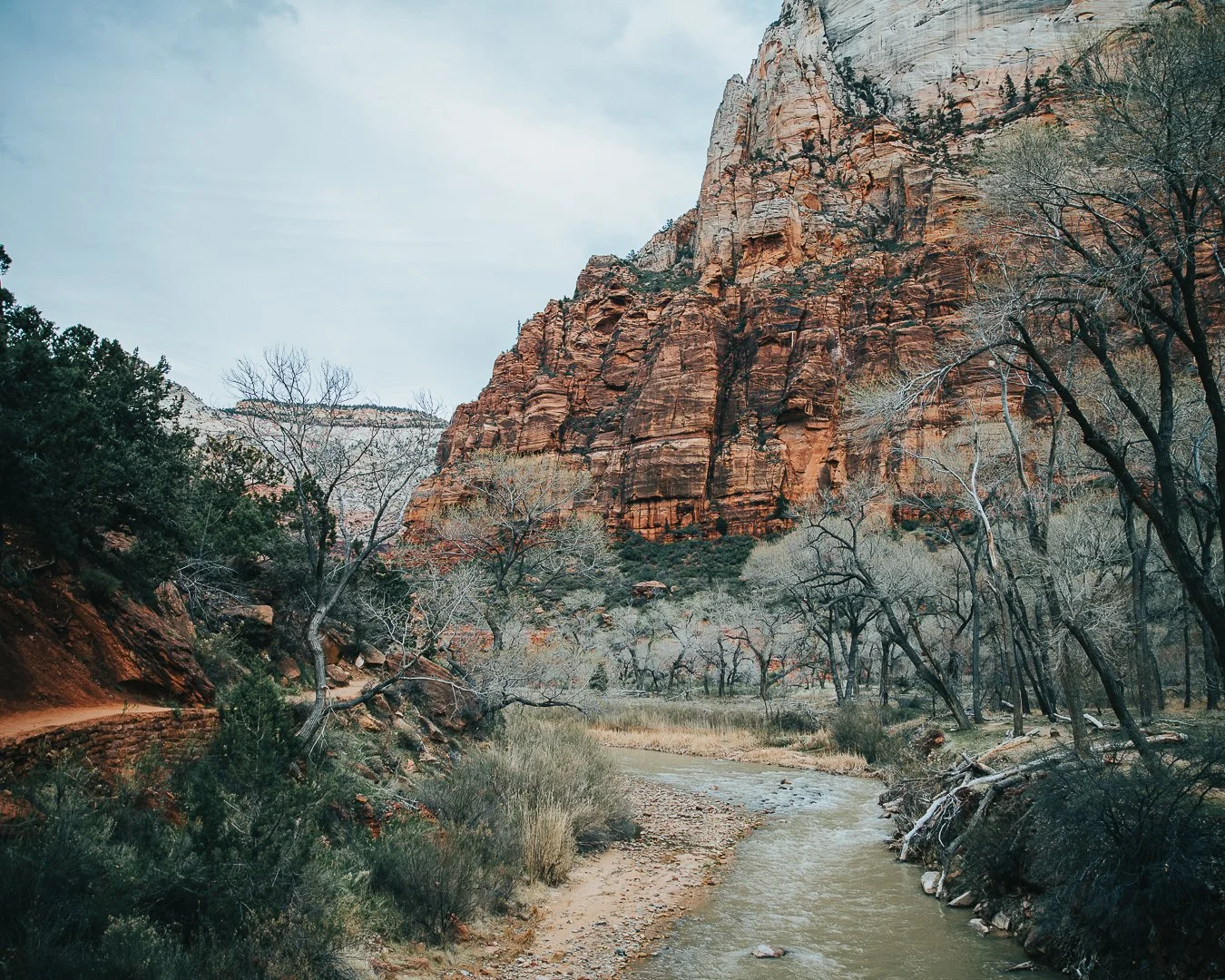 A scenic landscape of Zion National Park showing a red rock cliff, leafless trees, and a meandering creek in the foreground.