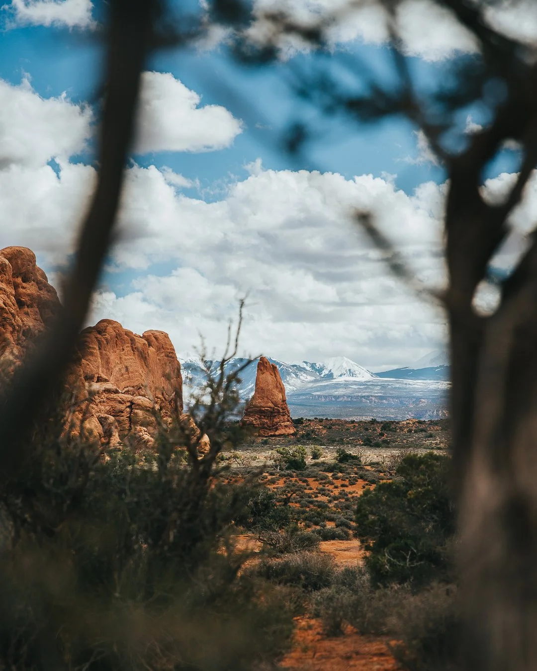 Scenic view of red rock formations, snow-capped mountains in the distance, and a partly cloudy sky, framed by tree branches in the foreground.
