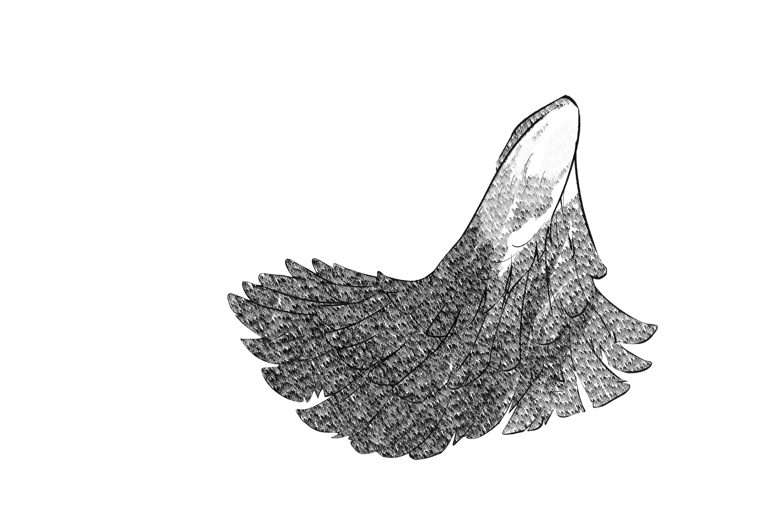 front bottom wings