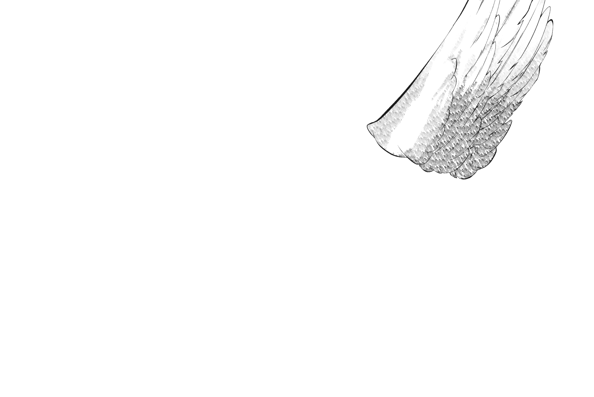 back wings right