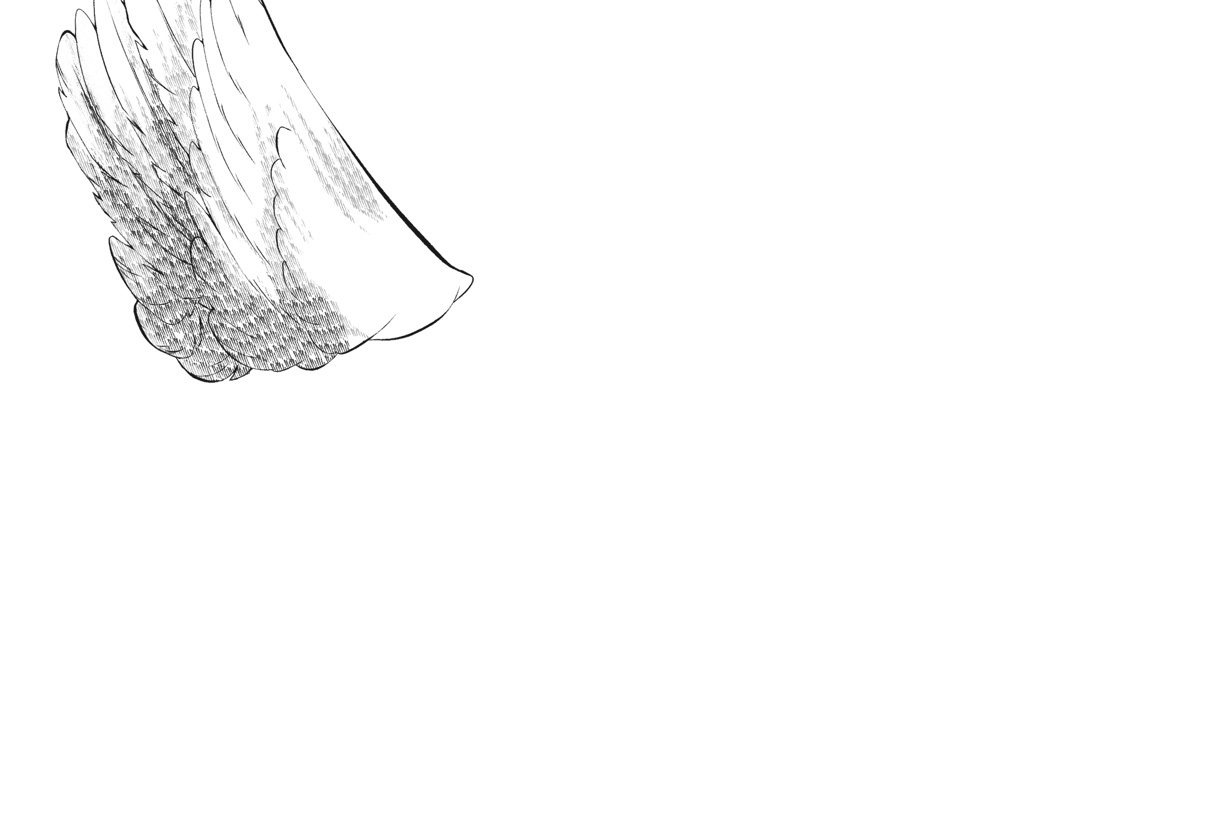 back wings left