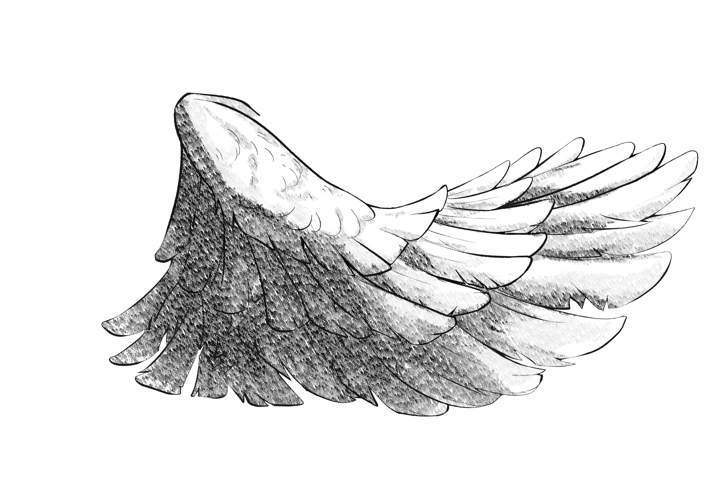 front top wings