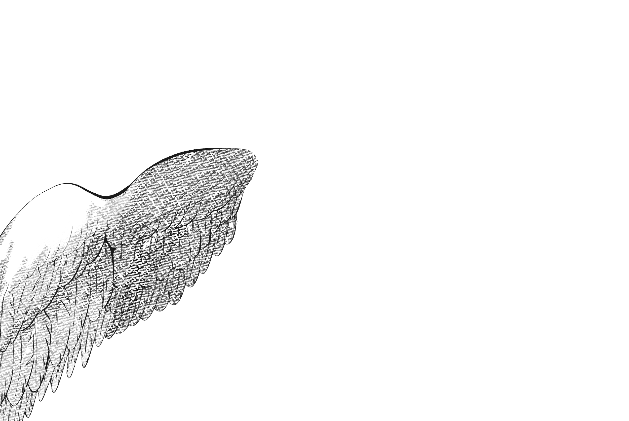 middle wings left