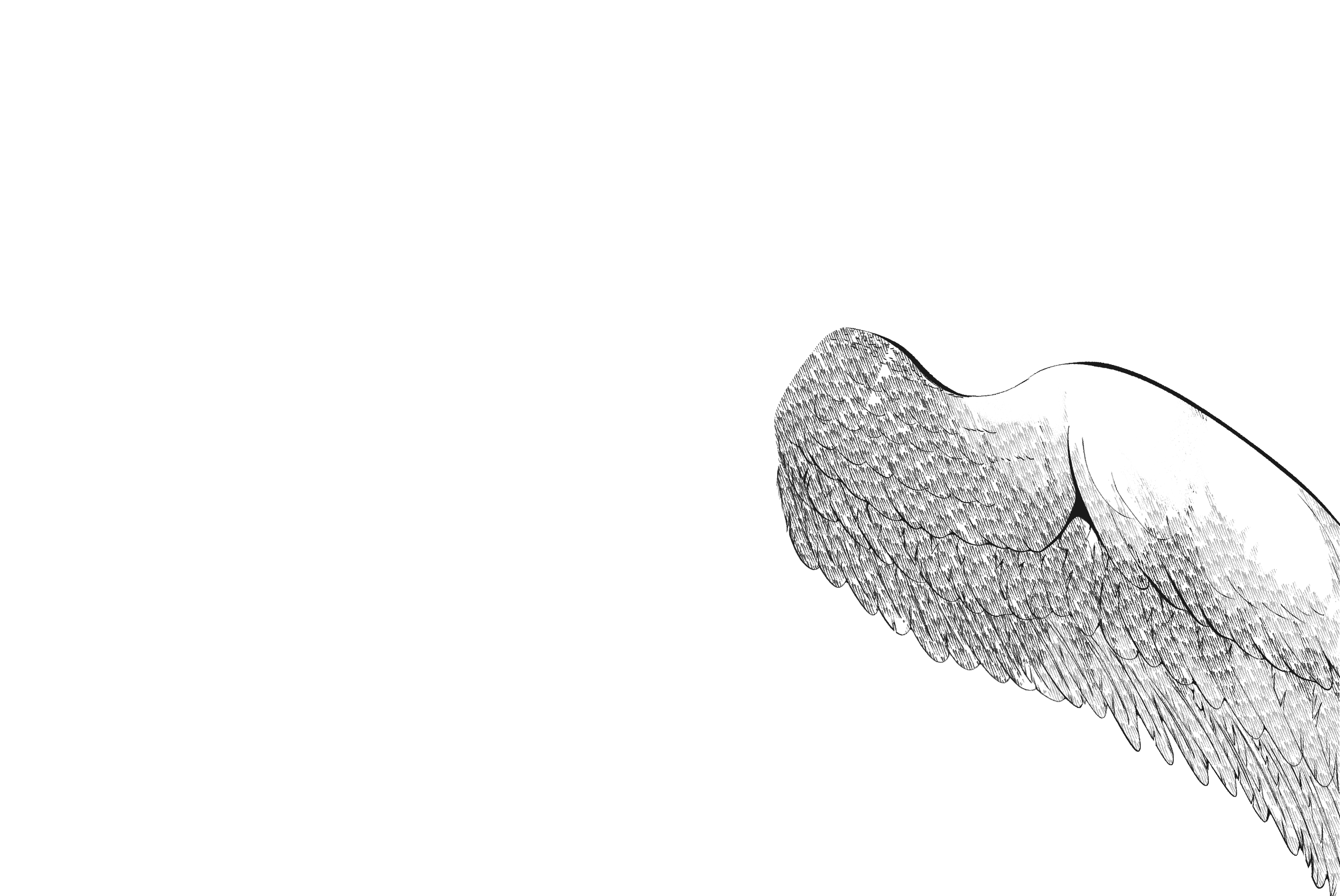 middle wings right