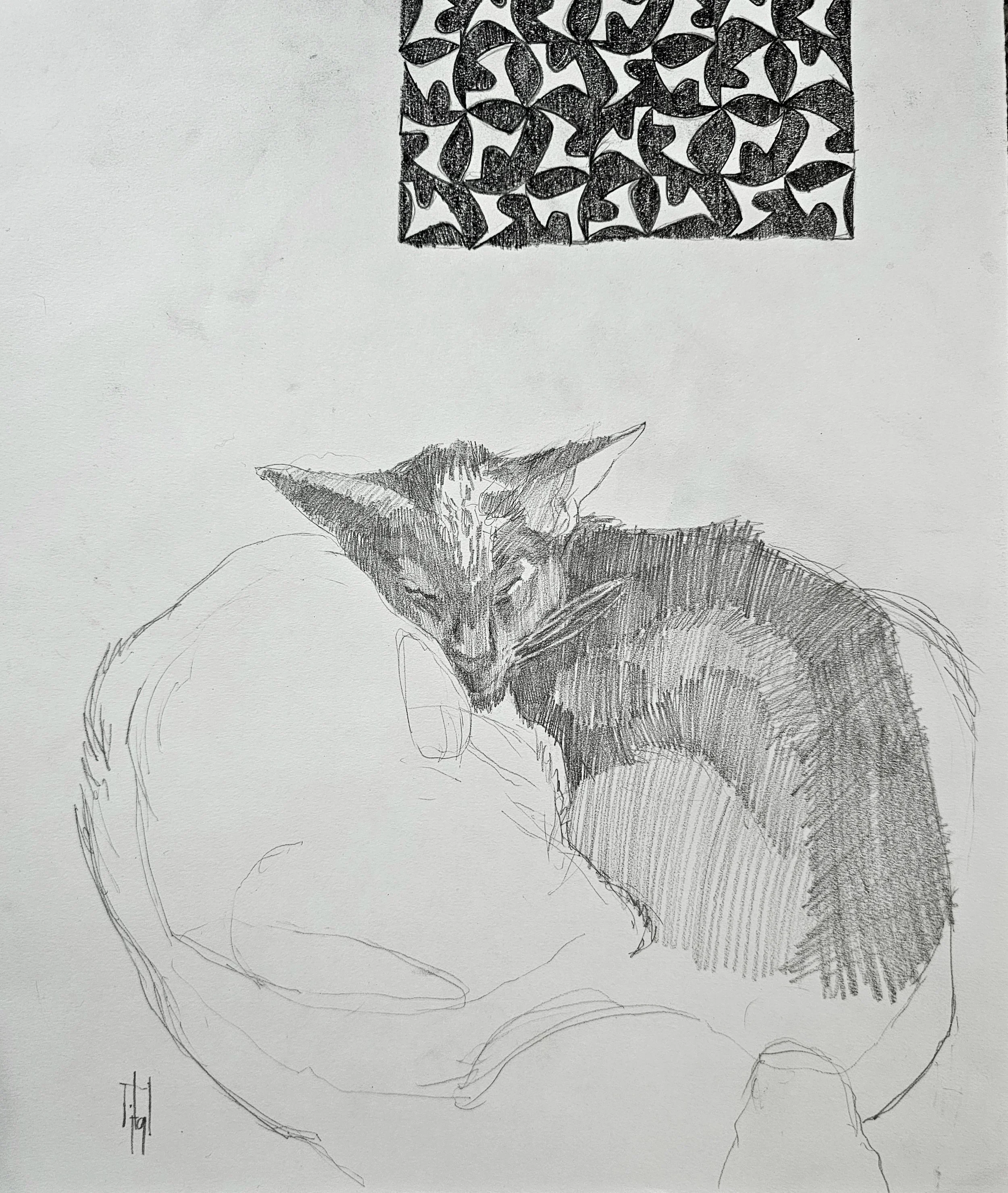 A sketch of a cat lying down, with a detailed outline of its head, ears, and body, and a separate drawing of a patterned square above it.