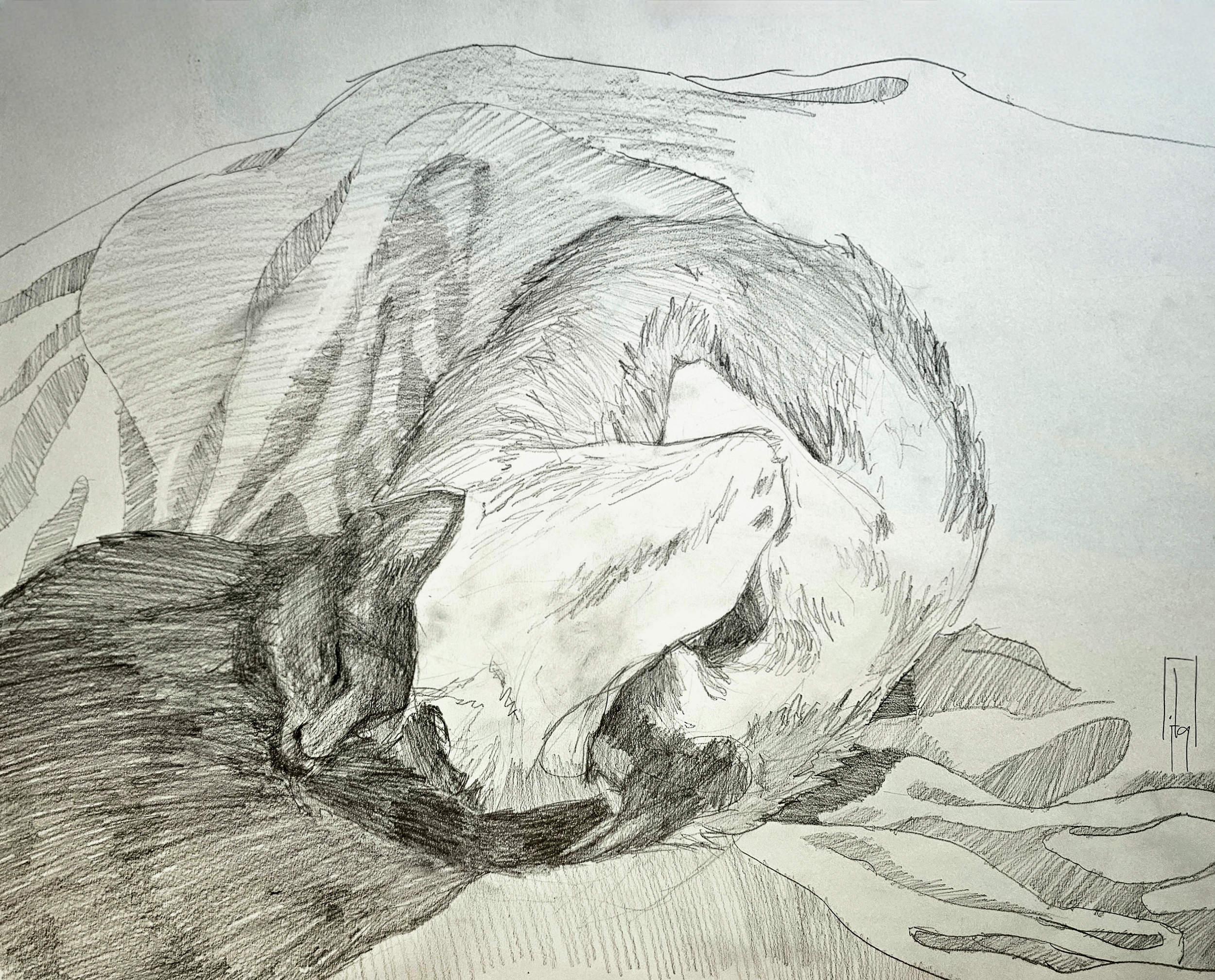 A detailed pencil sketch of a person resting their head on their arm, with their face partially obscured, showcasing artistic shading and line work.