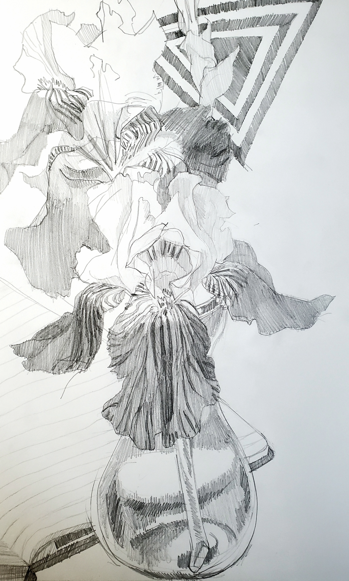 A pencil sketch of iris flowers in a vase, textured leaves and a geometric patterned background.