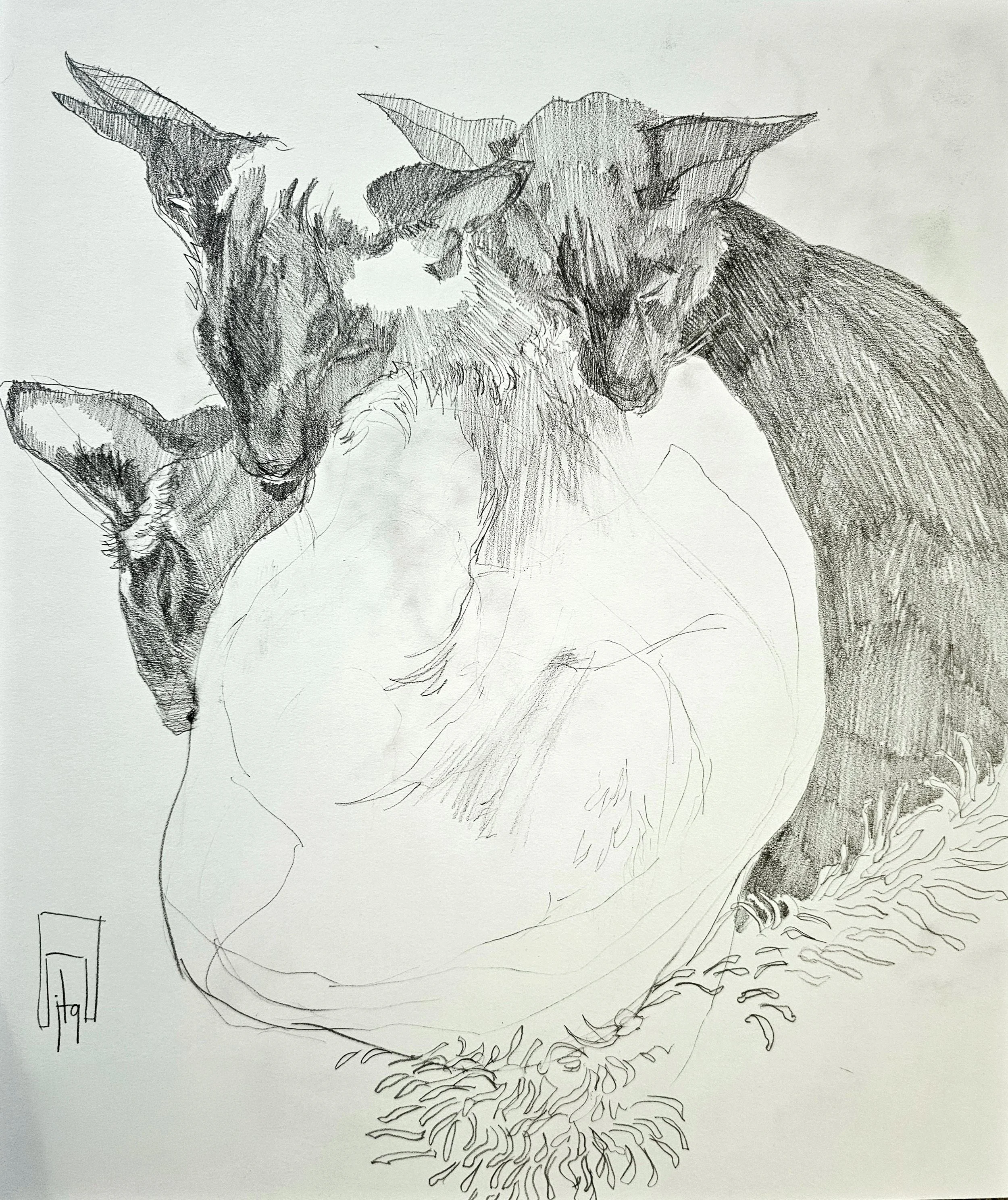 A abstract pencil sketch of two cats, one with prominent ears, and the other with a smaller face, curled up together