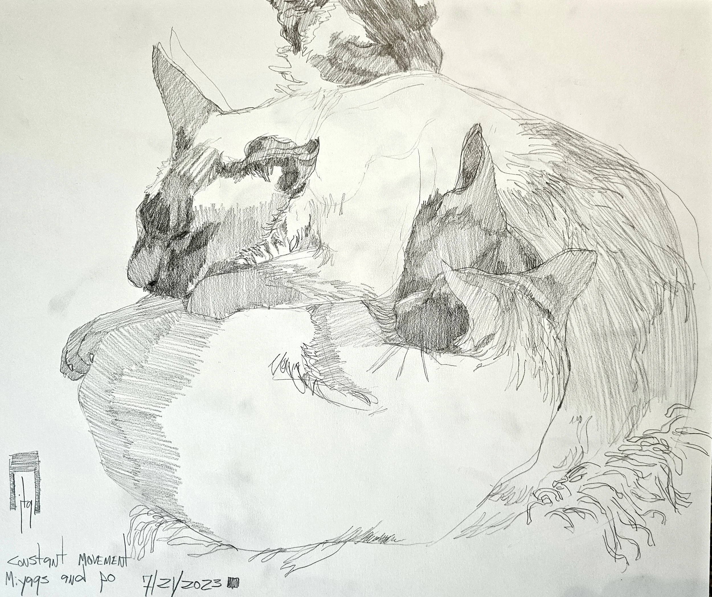 A detailed pencil sketch of two cat figures in a dynamic pose, with the words "CONSTANT MOVEMENT" written at the bottom left. The sketch includes notes and the date "7/7/2023."