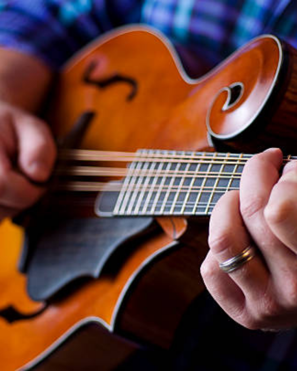 A man in a plaid blue shirt plays a mandolin.