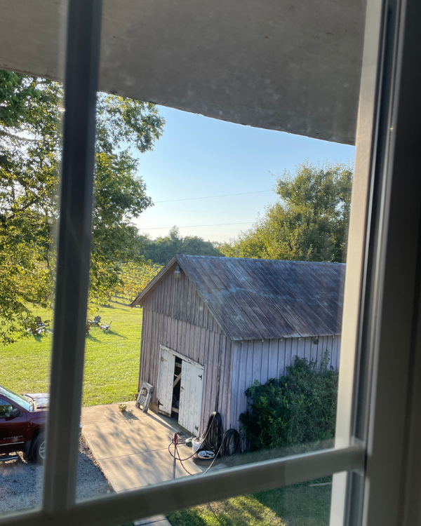 View from a window looking out onto a rustic wooden shed with a metal roof in a rural farm setting.