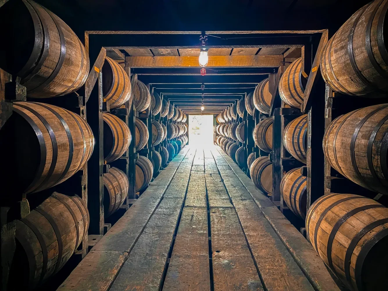 Bourbon barrels lined in rick house with wooden floor and open door at the end of the run.