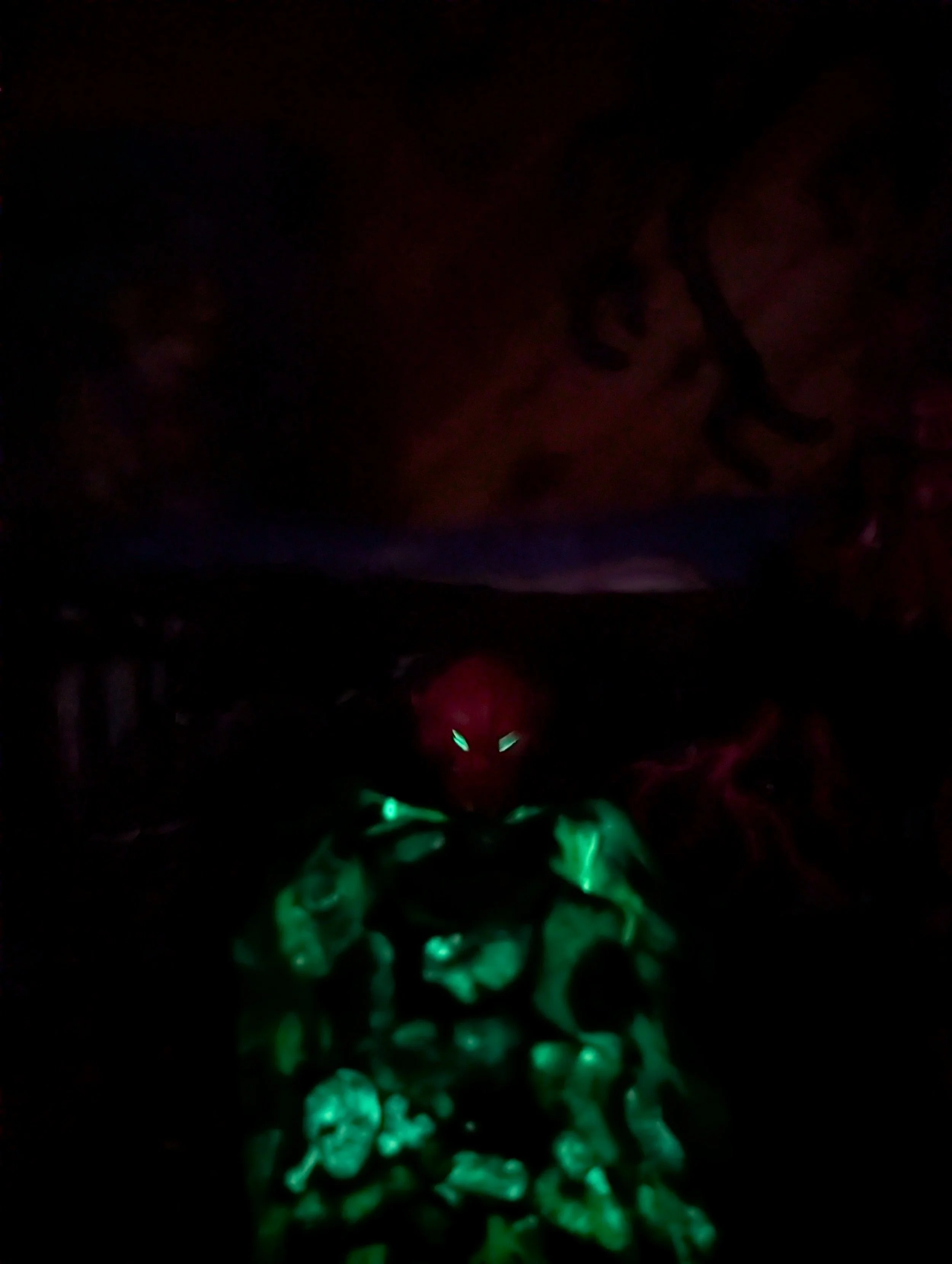 PXL_20260514_022616656.NIGHT.jpg
