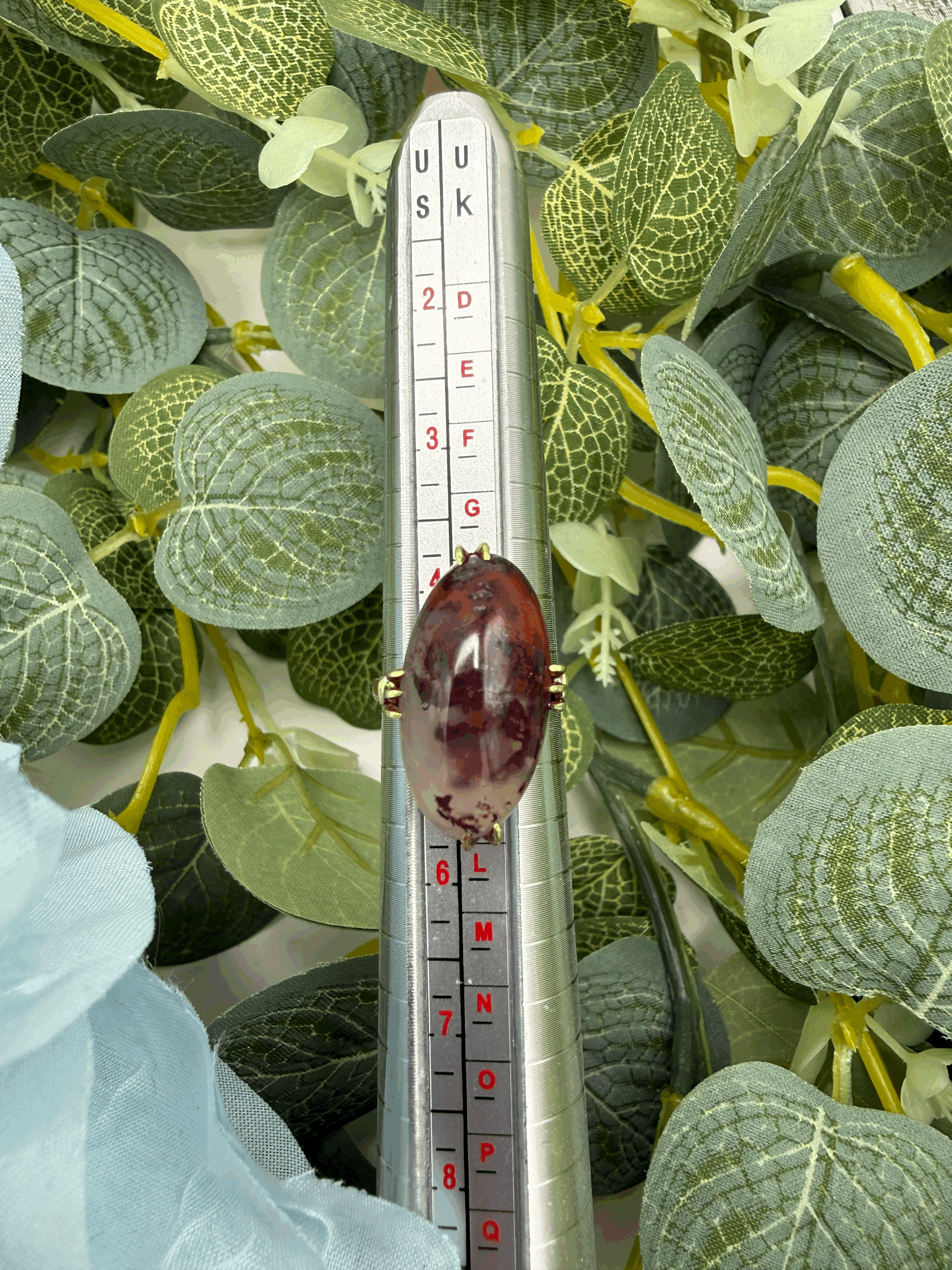 tempImageyCccJ8.gif