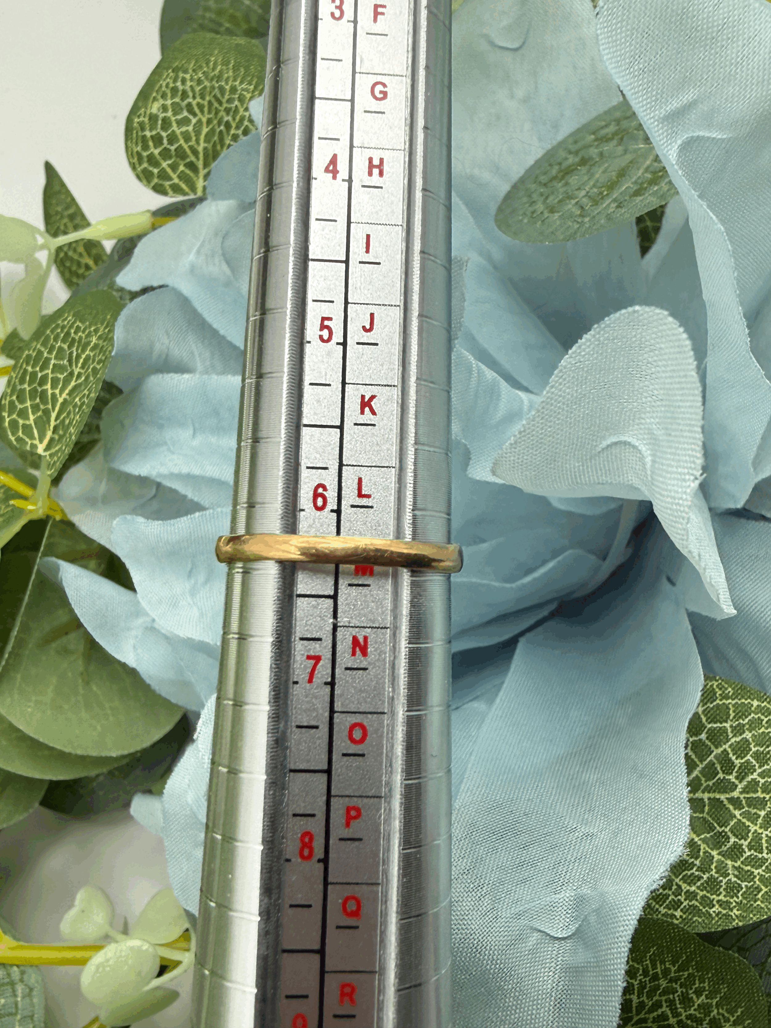 tempImageB80juu.gif