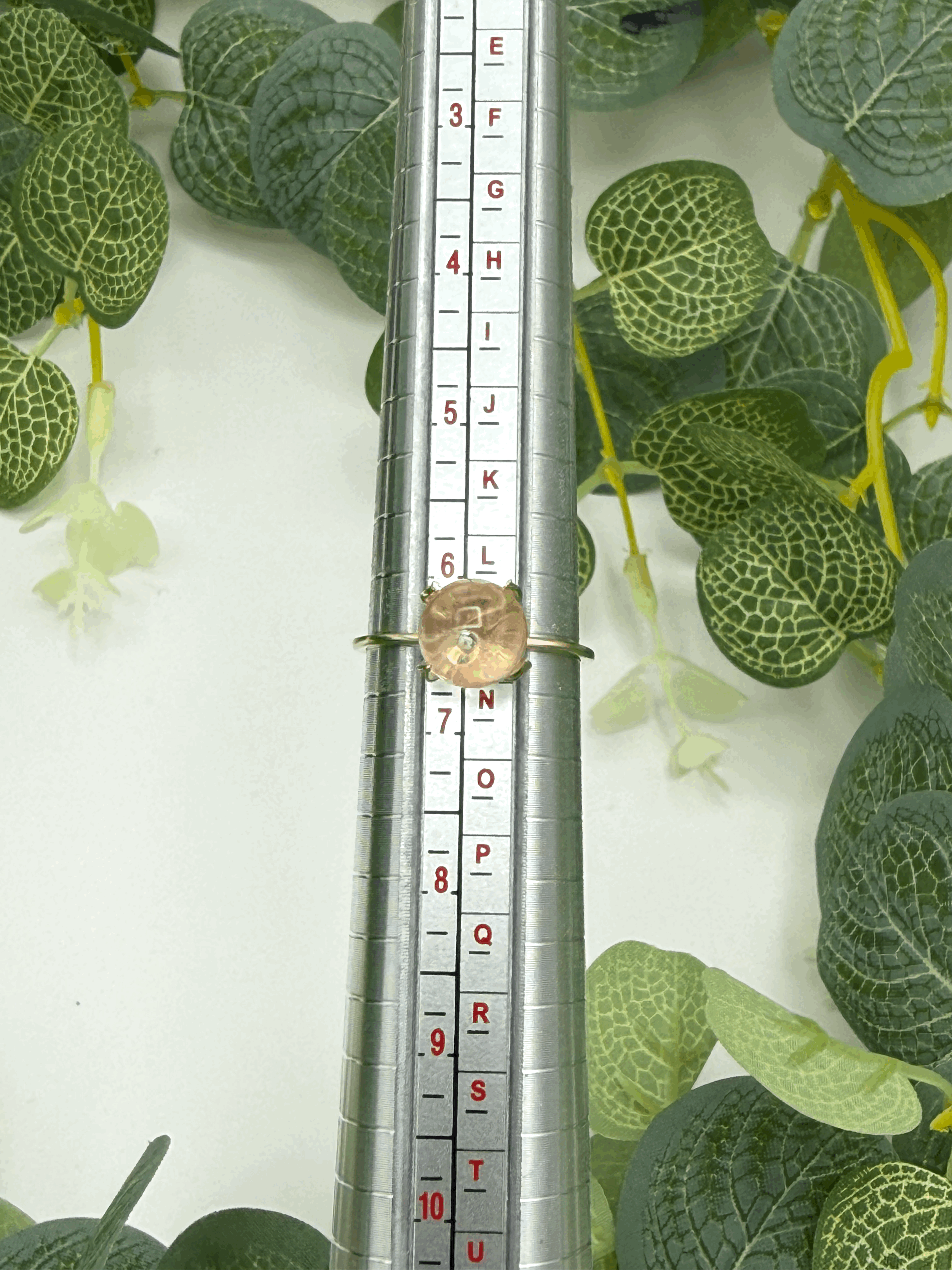 tempImage6qw09R.gif