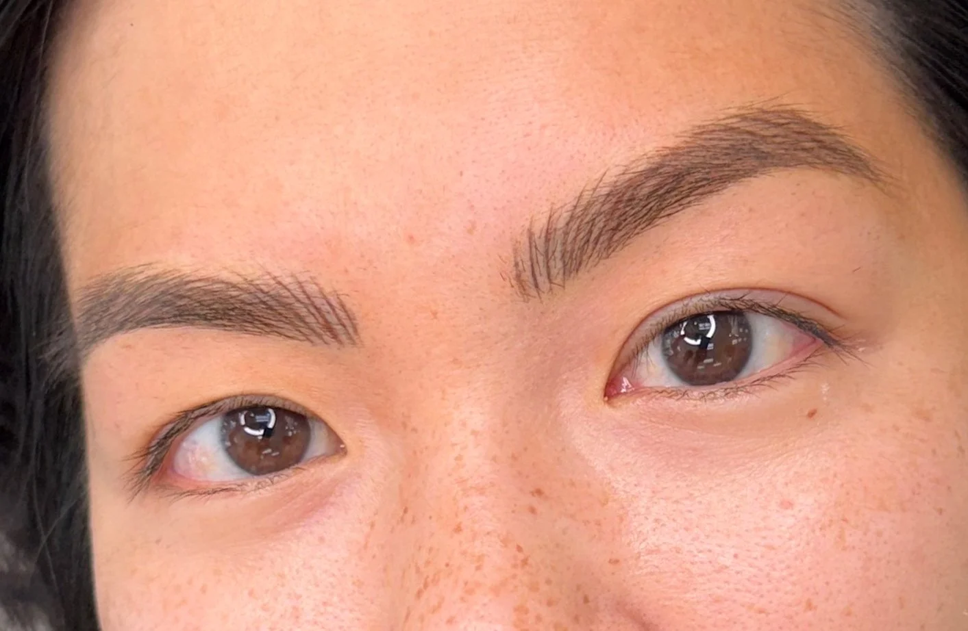 Nano brows permanent makeup results on a client at Beauty Ink by Carmen in Burbank, CA