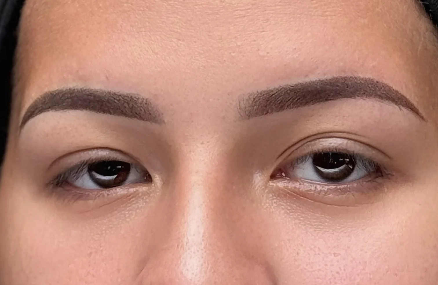 Combo brows permanent makeup healed results on a client at Beauty Ink by Carmen in Burbank, CA
