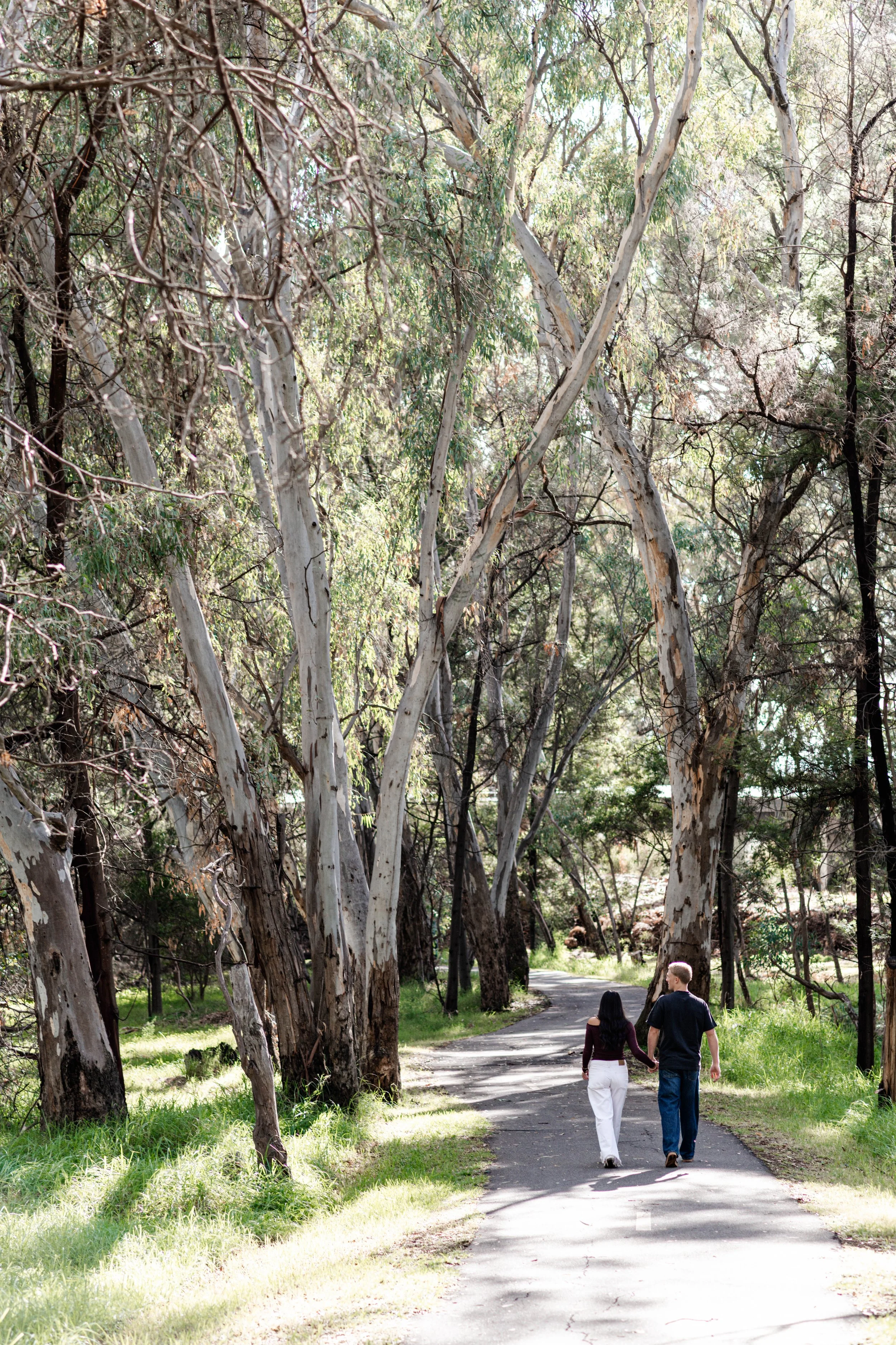Two people hold hands while walking on a paved trail through a lush, green park with tall trees lining the path.