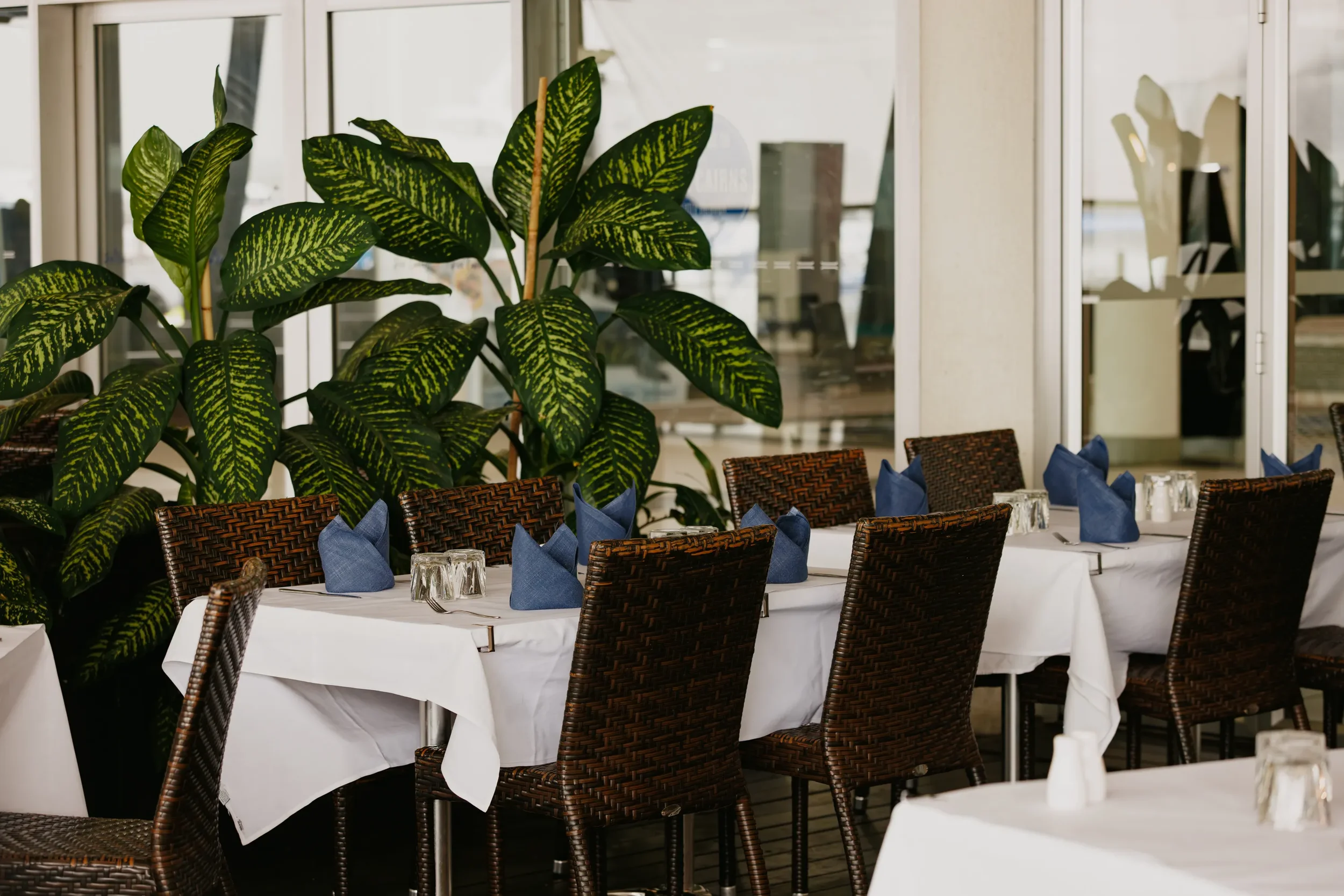 Indoor dining area with tables covered in white tablecloths, set with glasses and navy blue napkins, surrounded by brown woven chairs. Large green plants are positioned in the background, and glass doors separate the space from an exterior view.