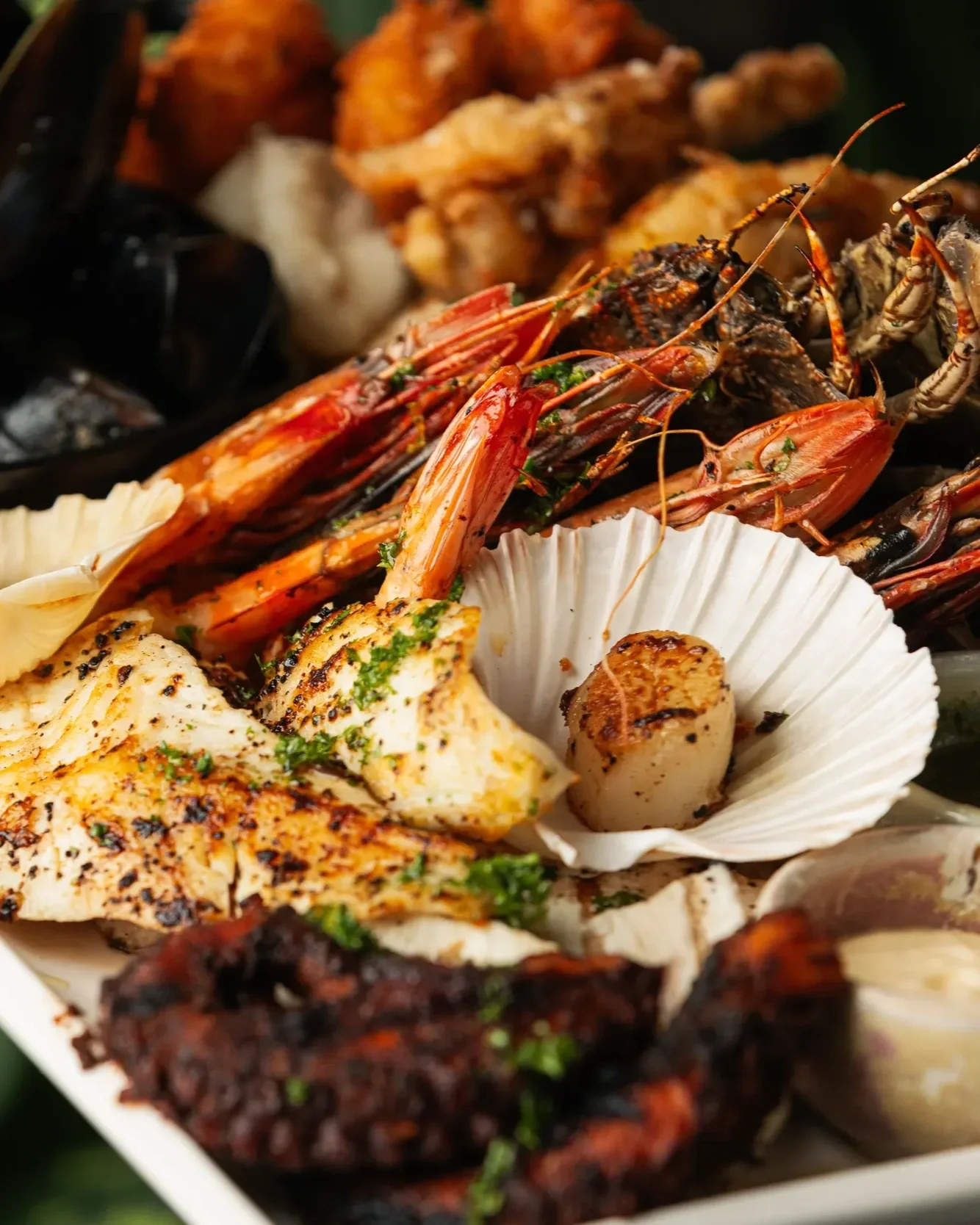 Piato+Mediterranean+Restaurant+CairnsA9276.webp